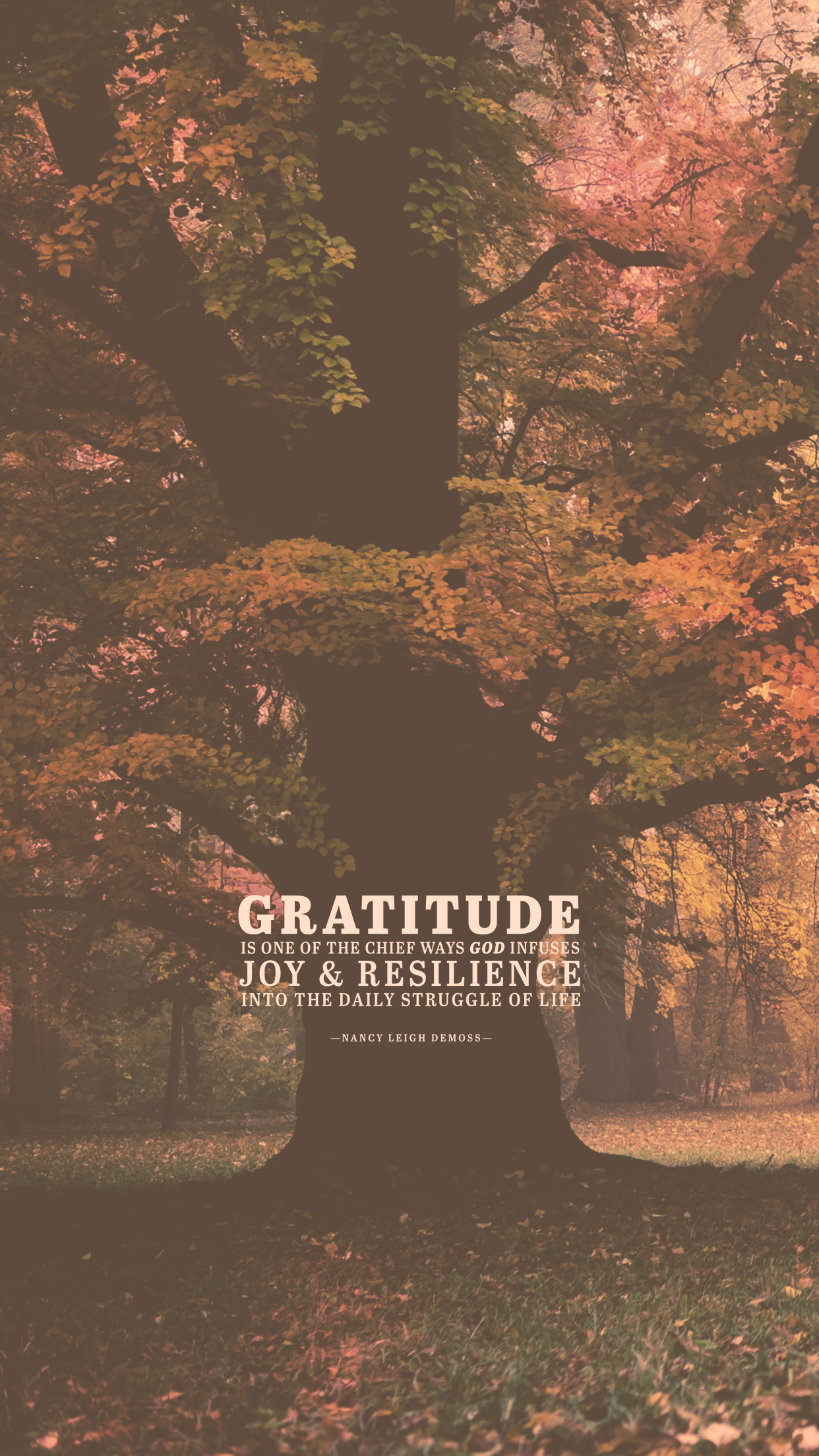 Gratitude Wallpaper. Attitude Gratitude
