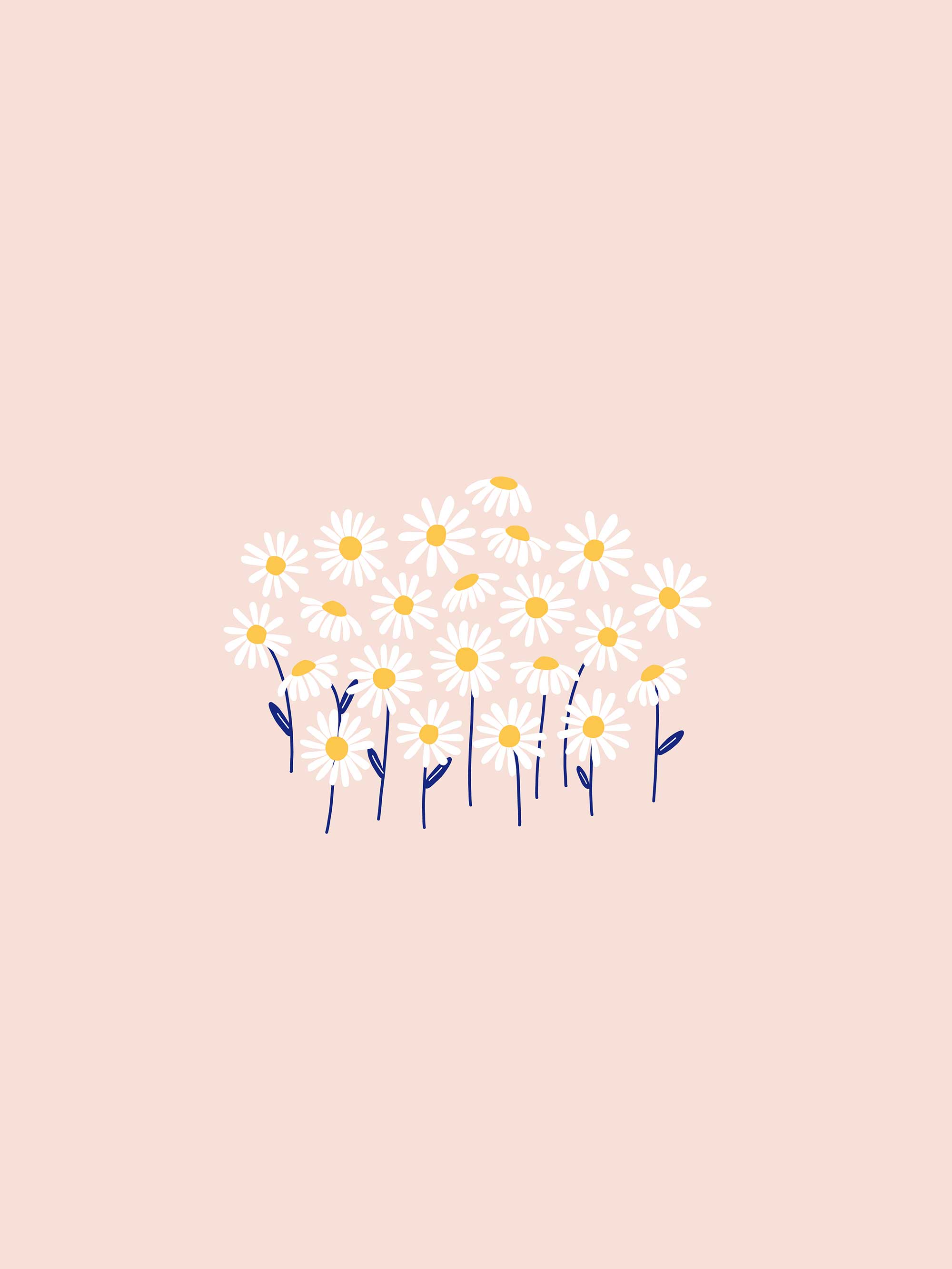 Daisy desktop, tablet and phone wallpaper
