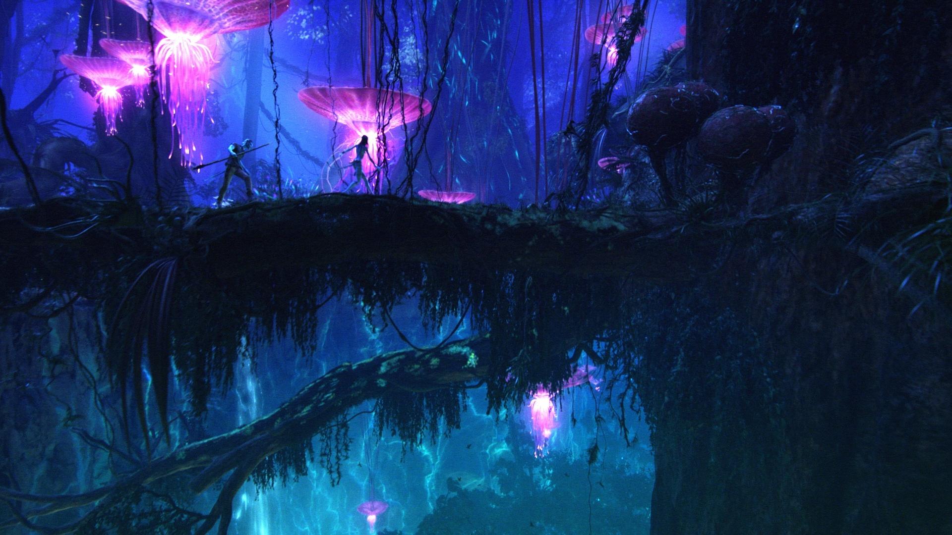 Download Explore the Mystical World of Pandora in Avatar Wallpaper   Wallpaperscom