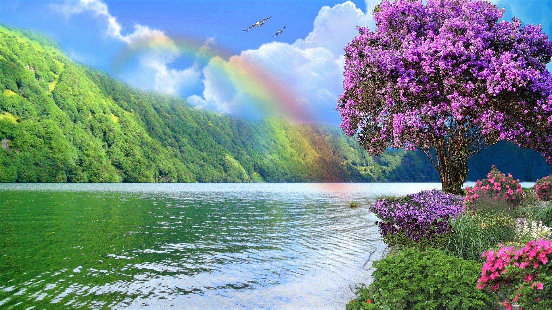 Rainbow over Spring Lake HD Wallpaper. Background Image