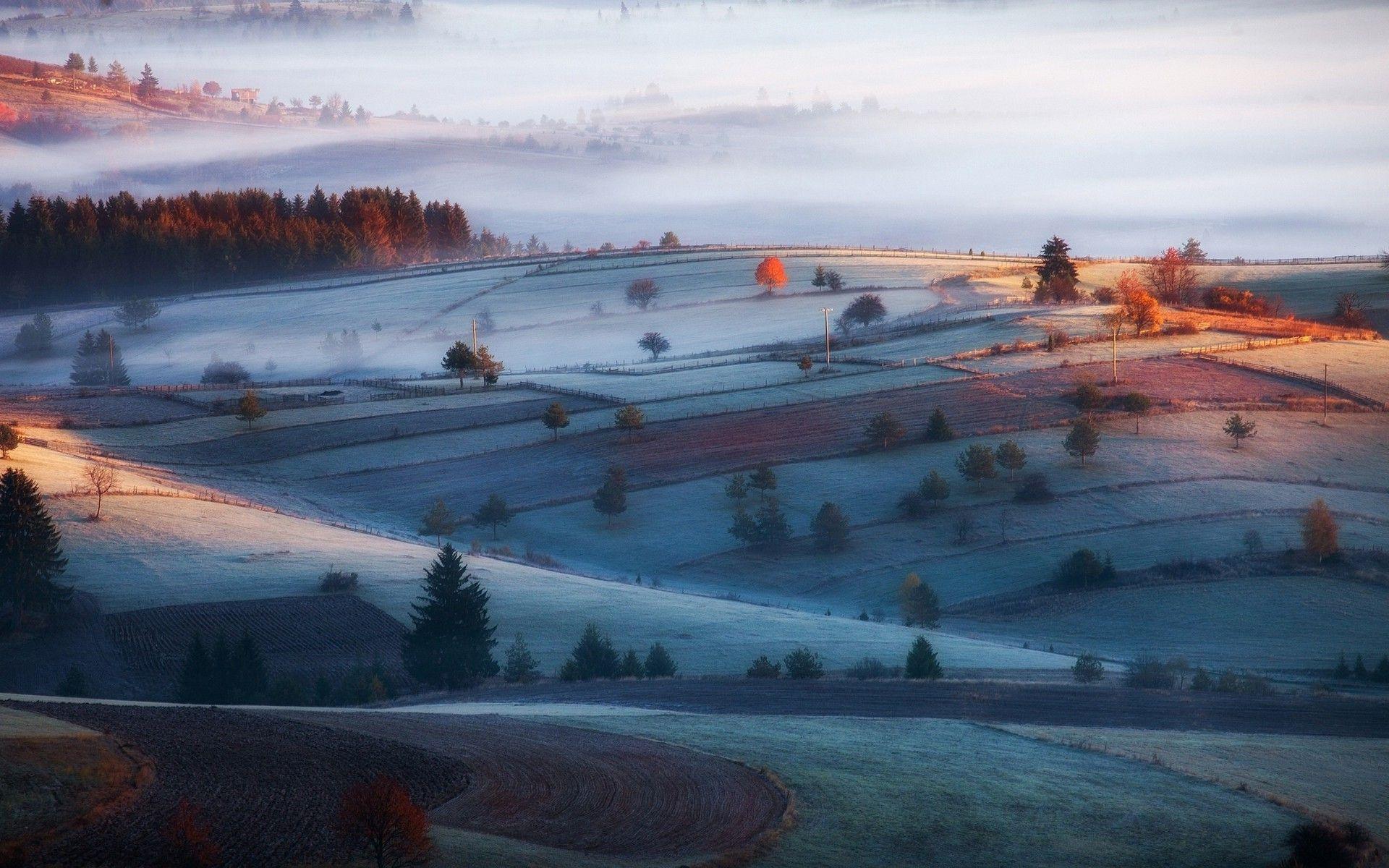 nature, Landscape, Mist, Sunrise, Field, Forest, Morning, Frost