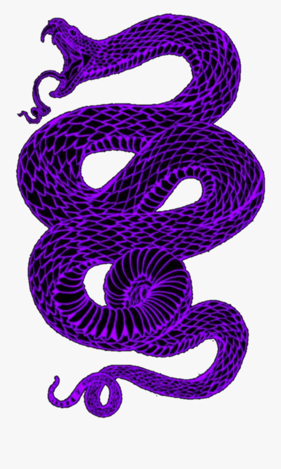 purple #snake #aesthetic #dark #goth #eboy #egirl
