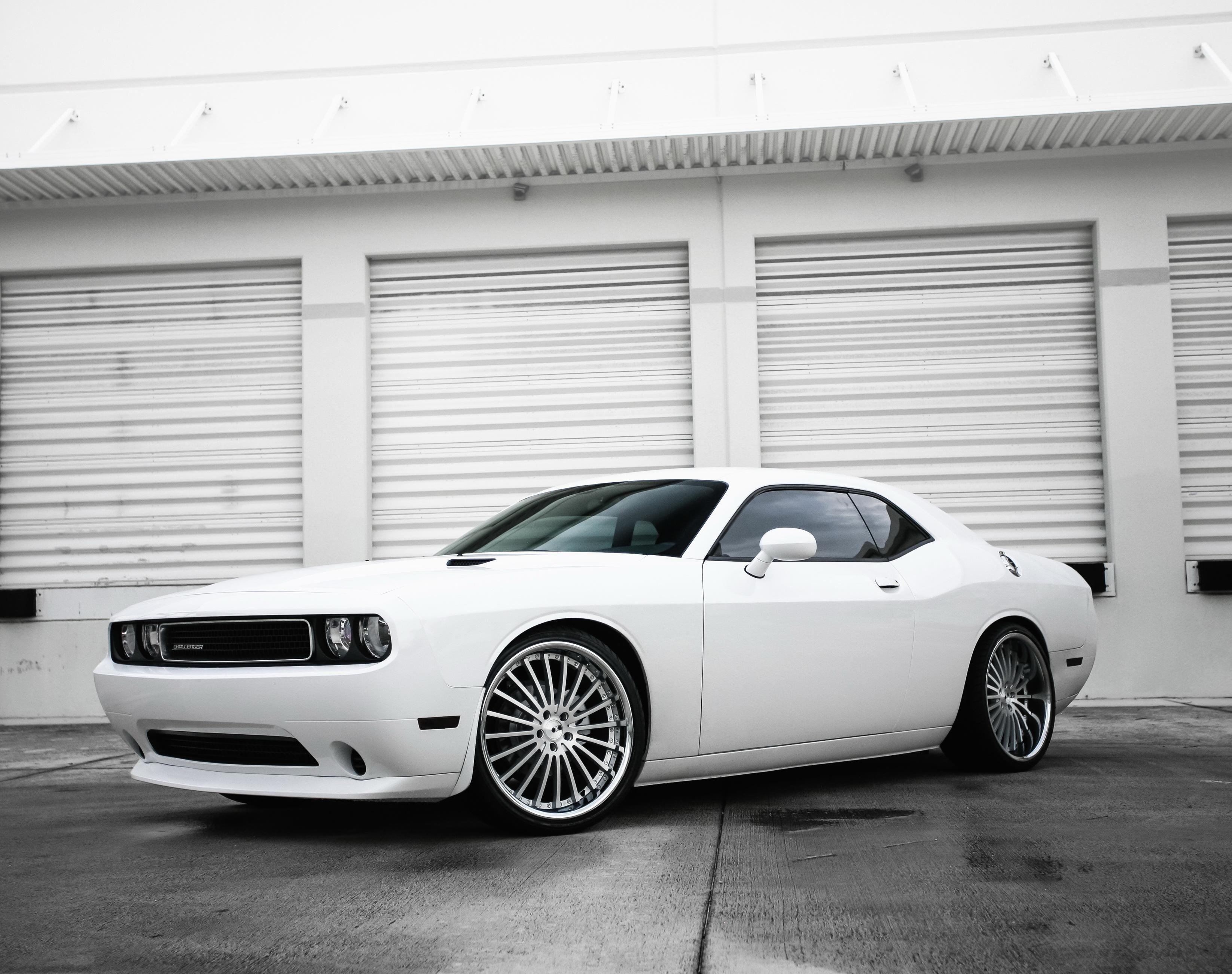 wallpaper dodge, challenger, side view, white HD, Widescreen