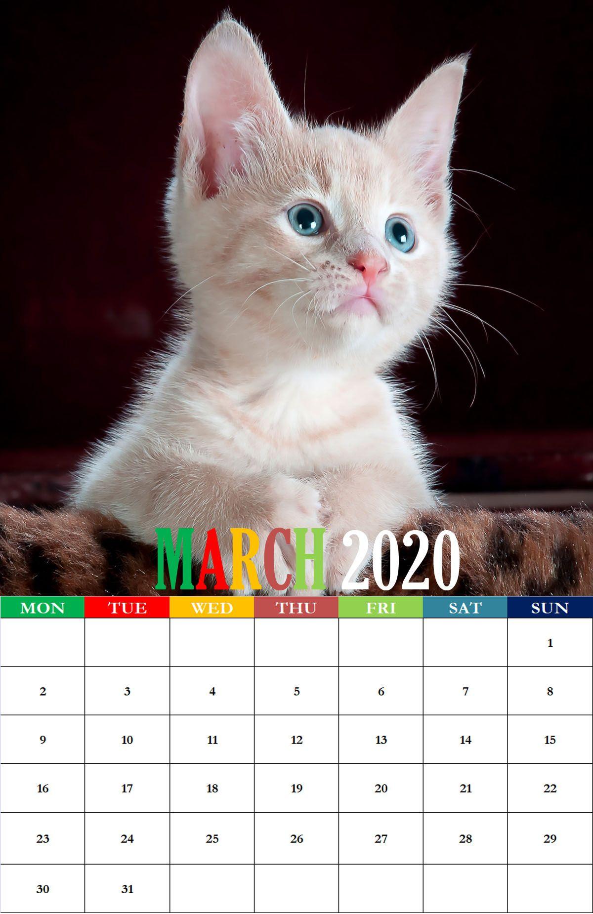 March Calendar Wallpaper For iPhone, Desktop, Mobile, Tablets