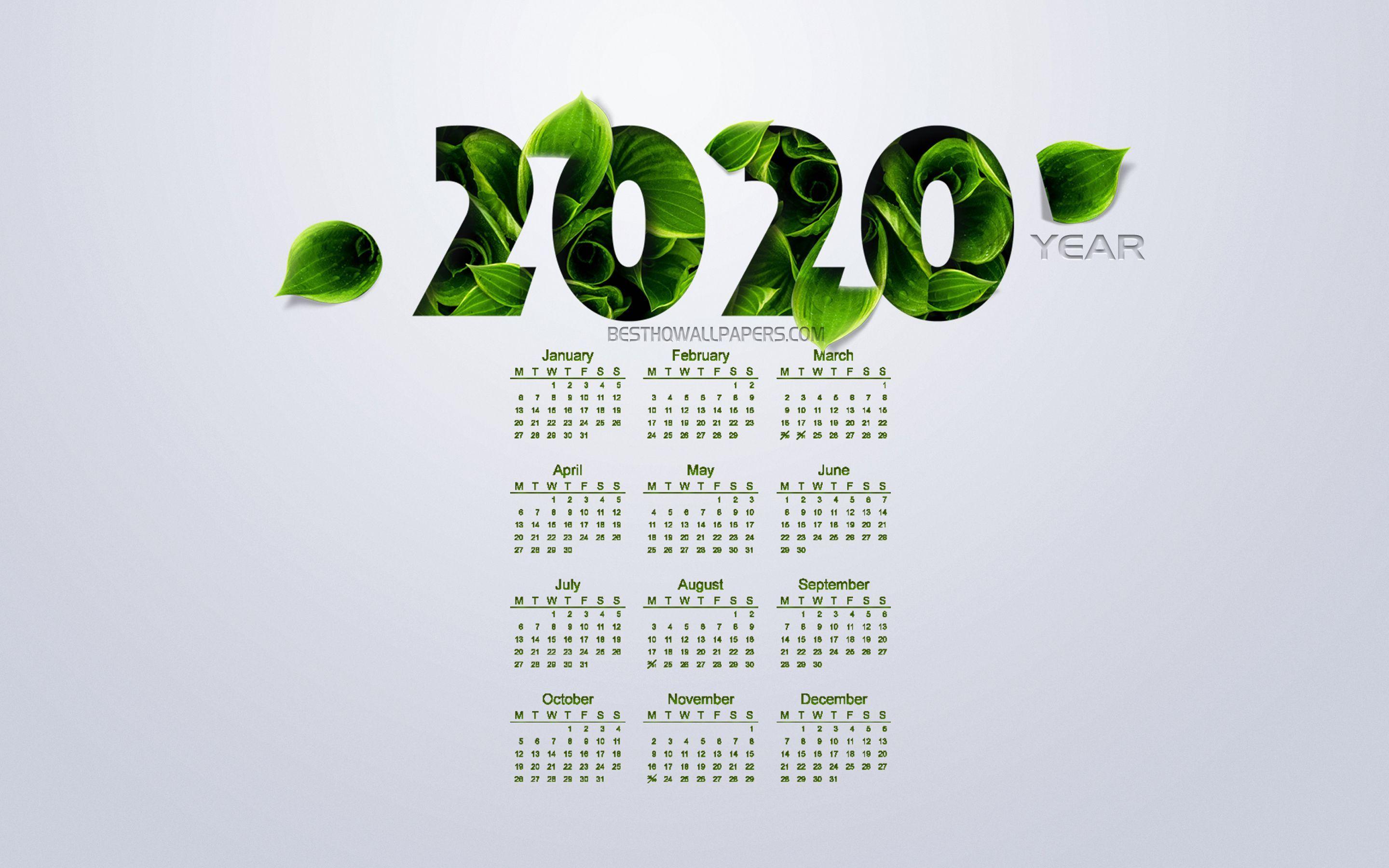 2020 Calendar Phone Wallpaper