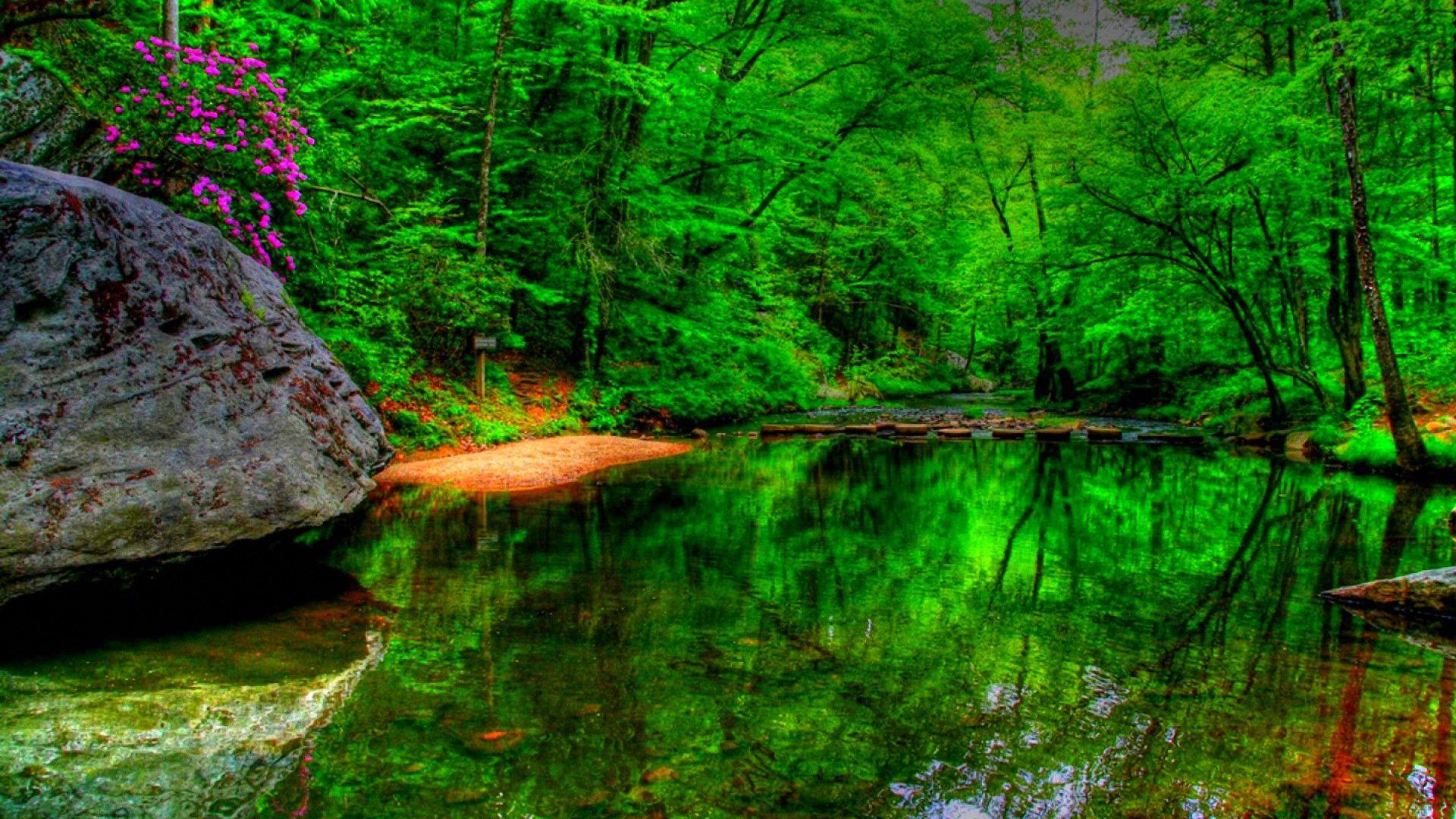 Res pics. Green Trees and River. Ротрода. Spring Lake. HD Wallpapers 1920x1080 Spring.