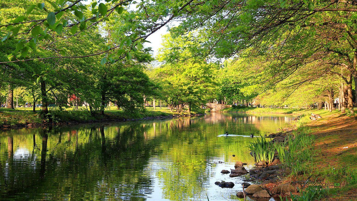 Wallpaper Grass Boston Park Creek Green Tree Water Spring Lake