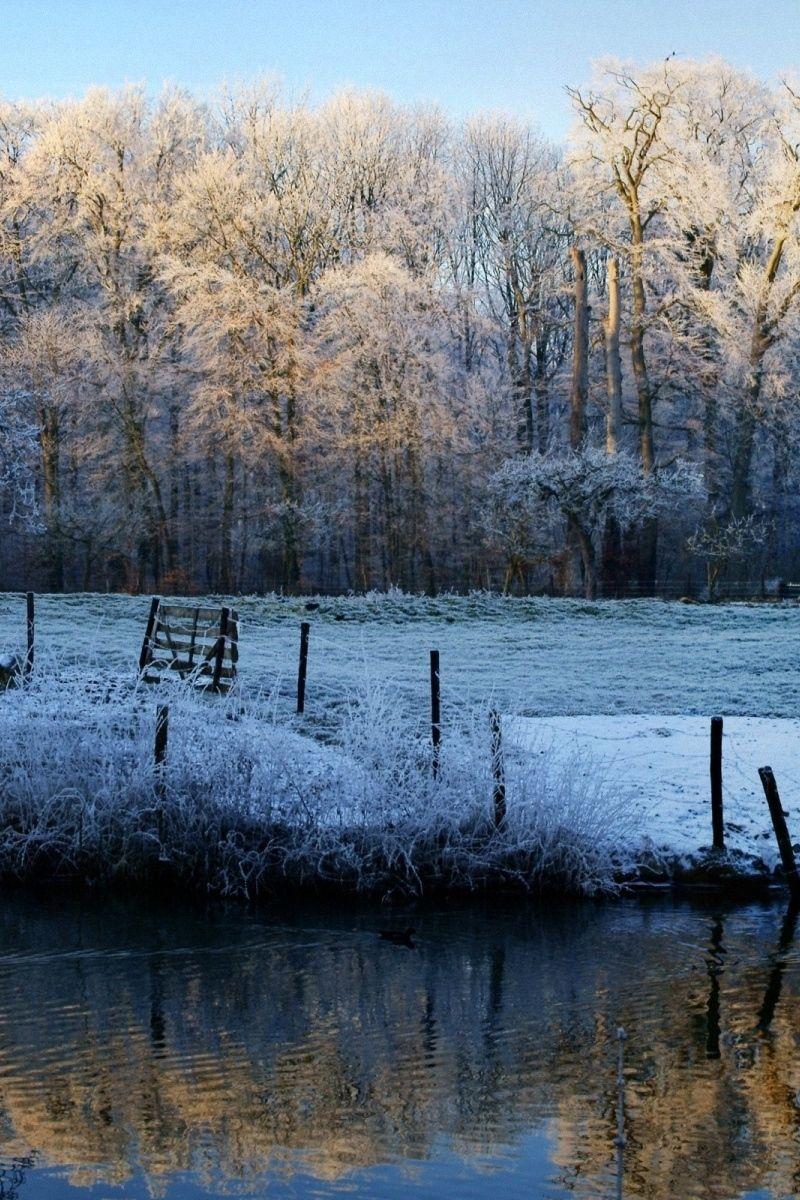 Download wallpaper 800x1200 morning, lake, frost, freeze, november
