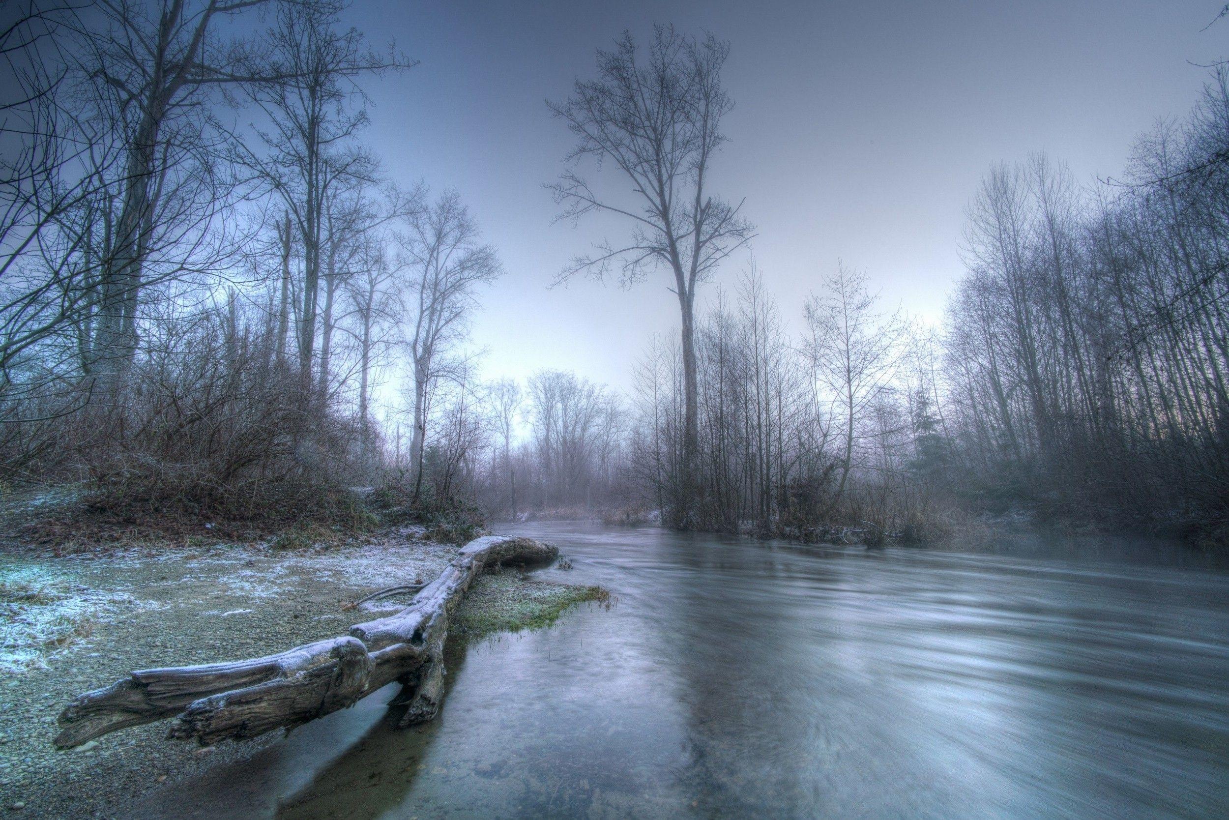 nature, Landscape, River, Forest, Winter, Morning, Frost Wallpaper HD / Desktop and Mobile Background