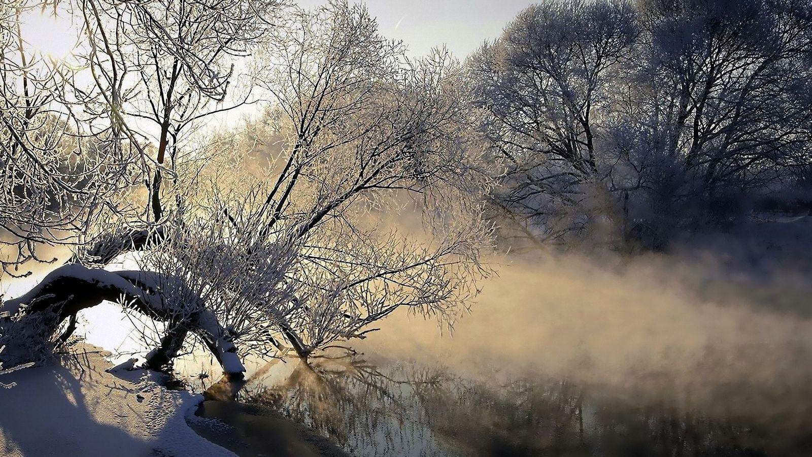 Download wallpaper 1600x900 fog, river, tree, ice, cold, frost