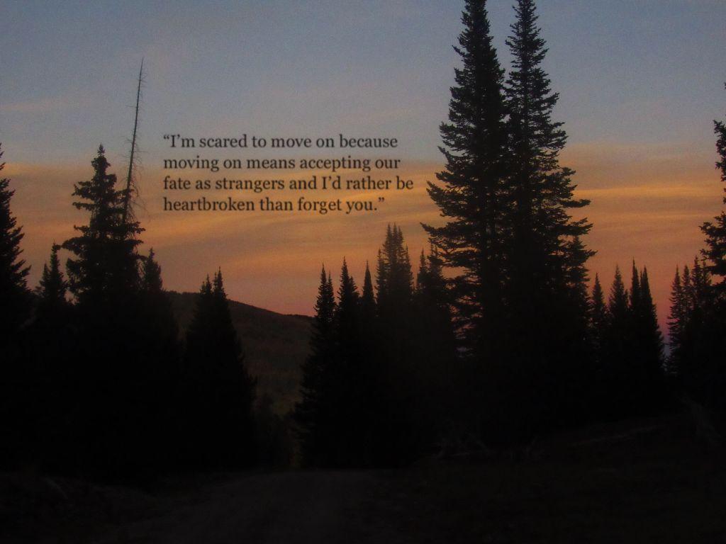 aesthetic heartbreak wallpaper