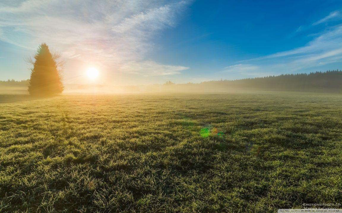 Morning Mist, Glowing Sunrise Ultra HD Desktop Background