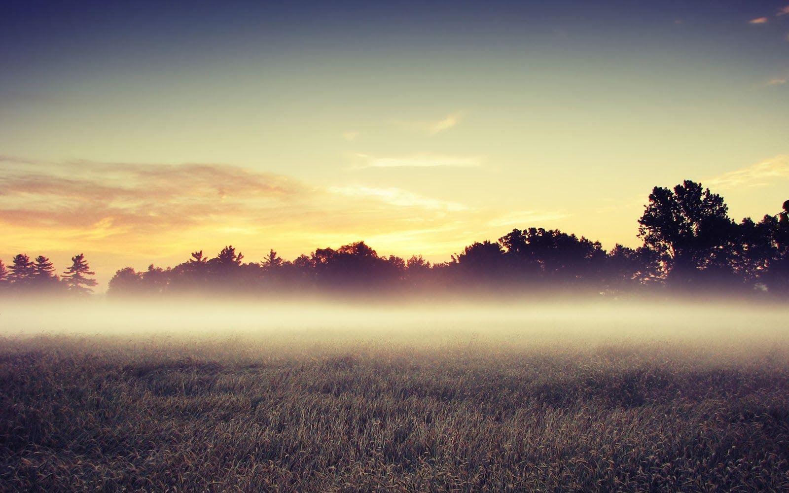 The morning mist