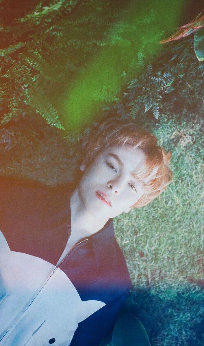 Vernon Wallpapers - Wallpaper Cave