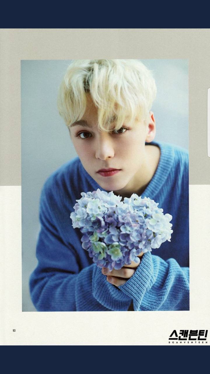 Vernon Wallpapers - Wallpaper Cave