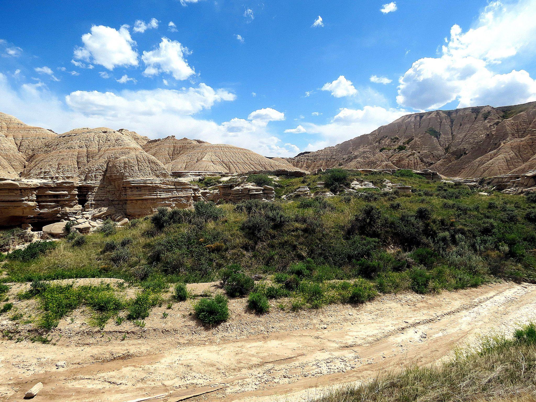 The Bison Trail Is One Of Nebraska's Best Hikes