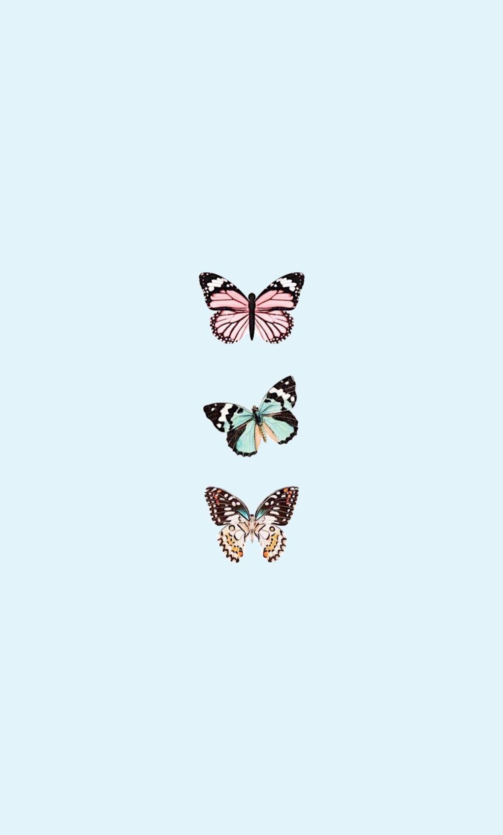 Aesthetic Simple Butterfly Wallpapers Wallpaper Cave