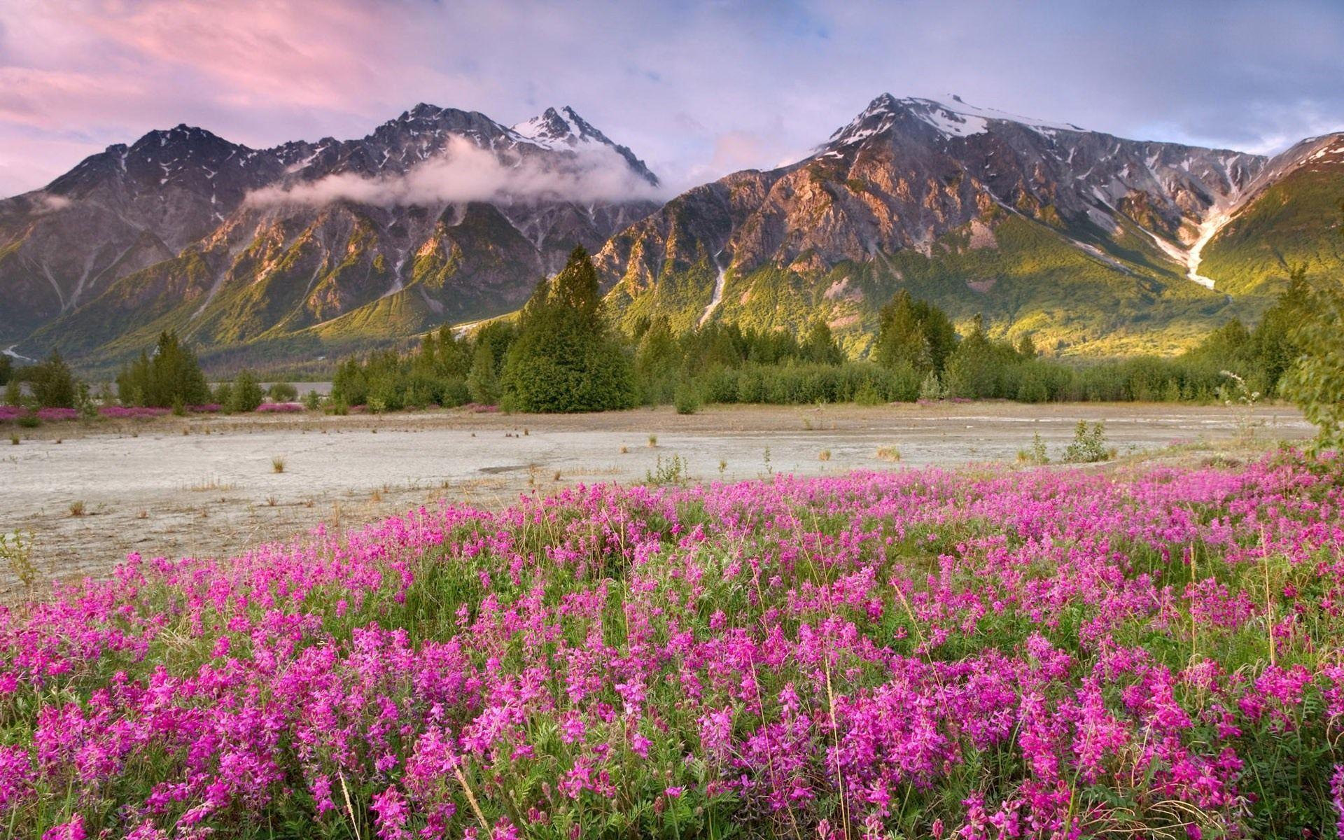 Free Widescreen Desktop Wallpaper Spring Mountain Nature. Scenery