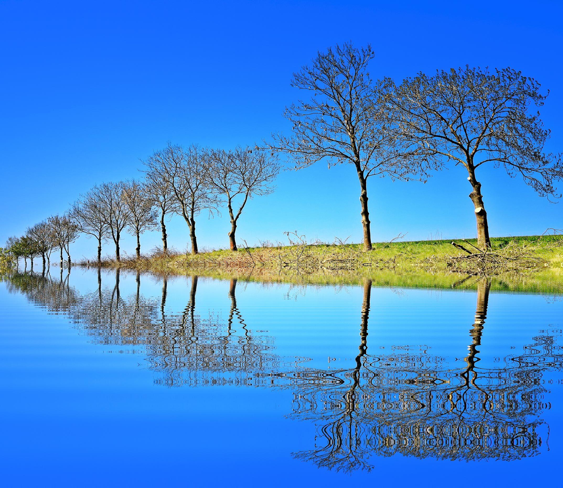 Free Beautiful Desktop Wallpaper