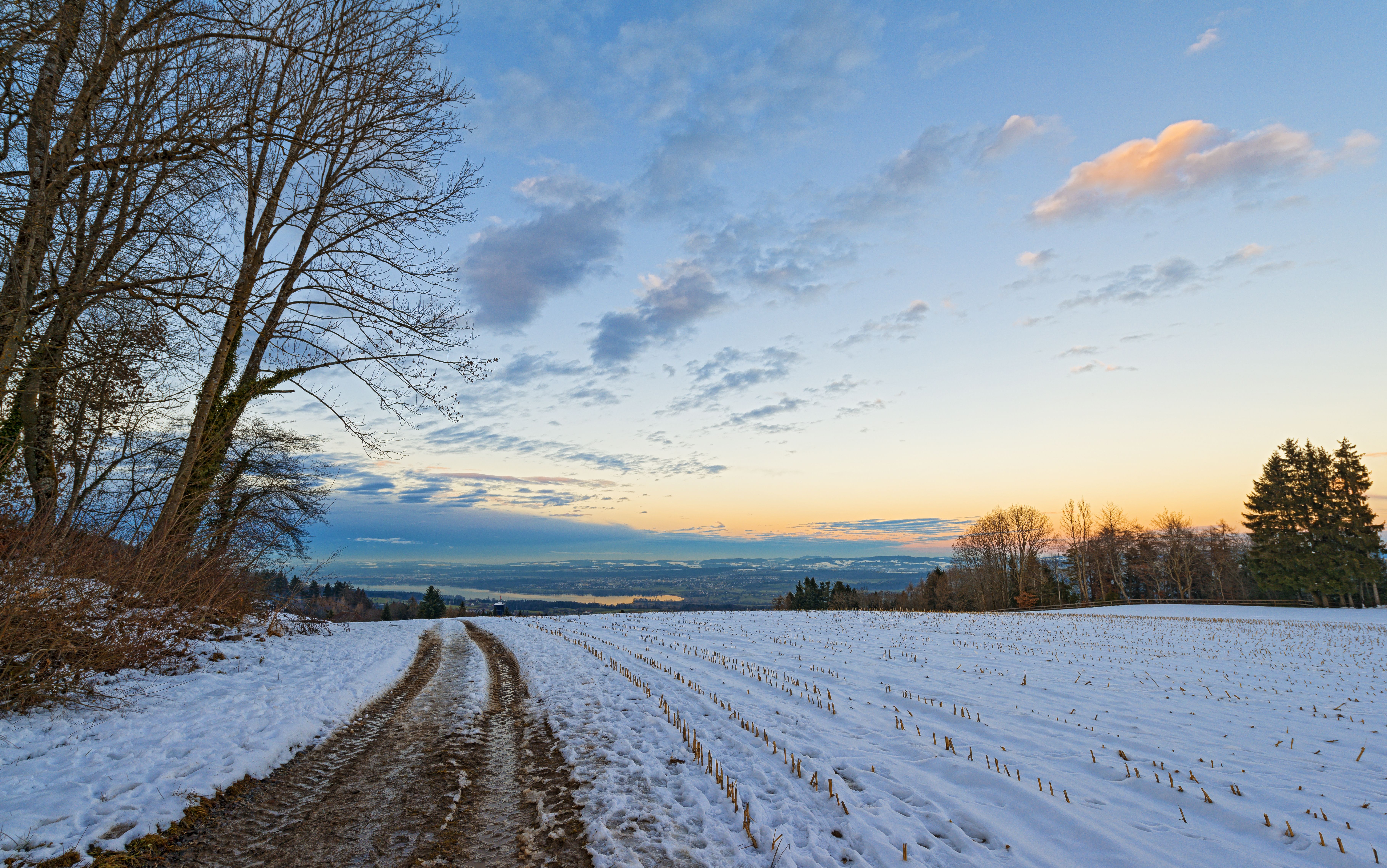 The road in the winter field wallpaper and image