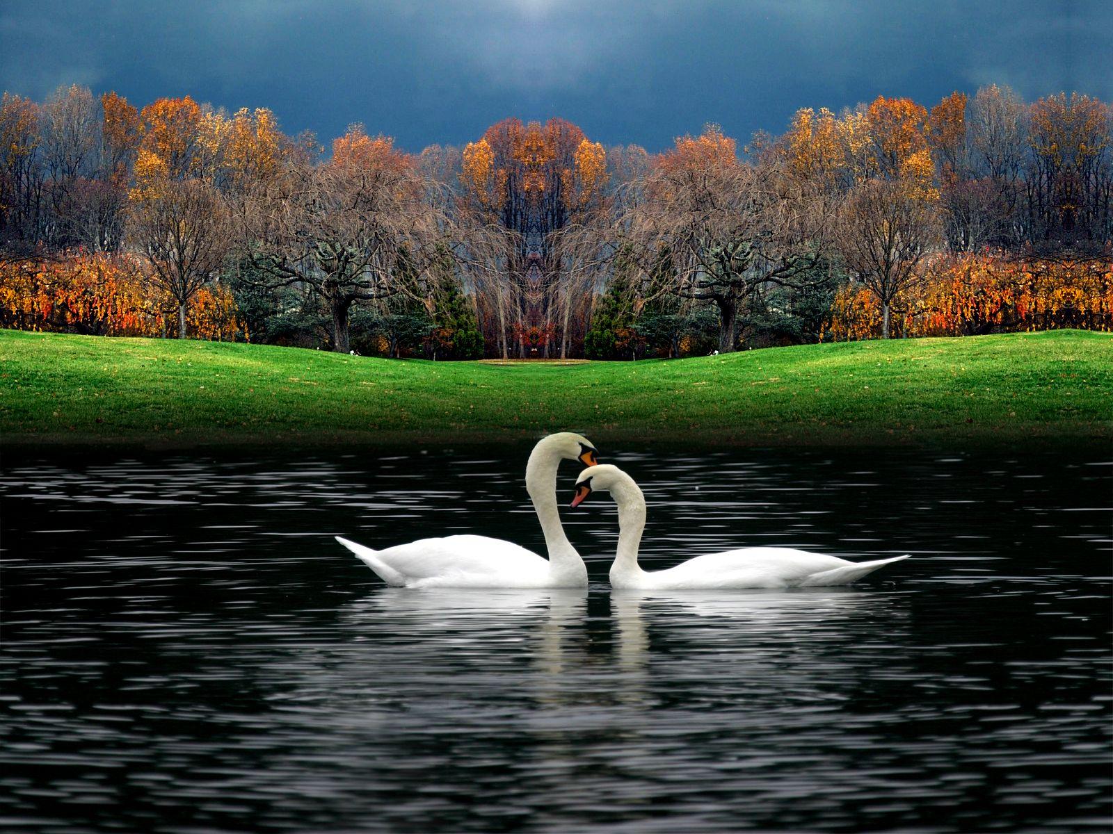 Beautiful Nature Image Free To Download