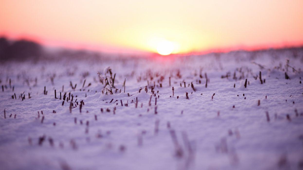 Sunset landscapes nature winter (season) snow macro depth of field