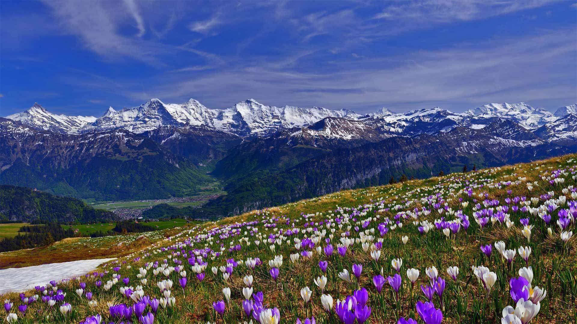 Spring Mountain Landscape Wallpaper for desktop & mobile in high