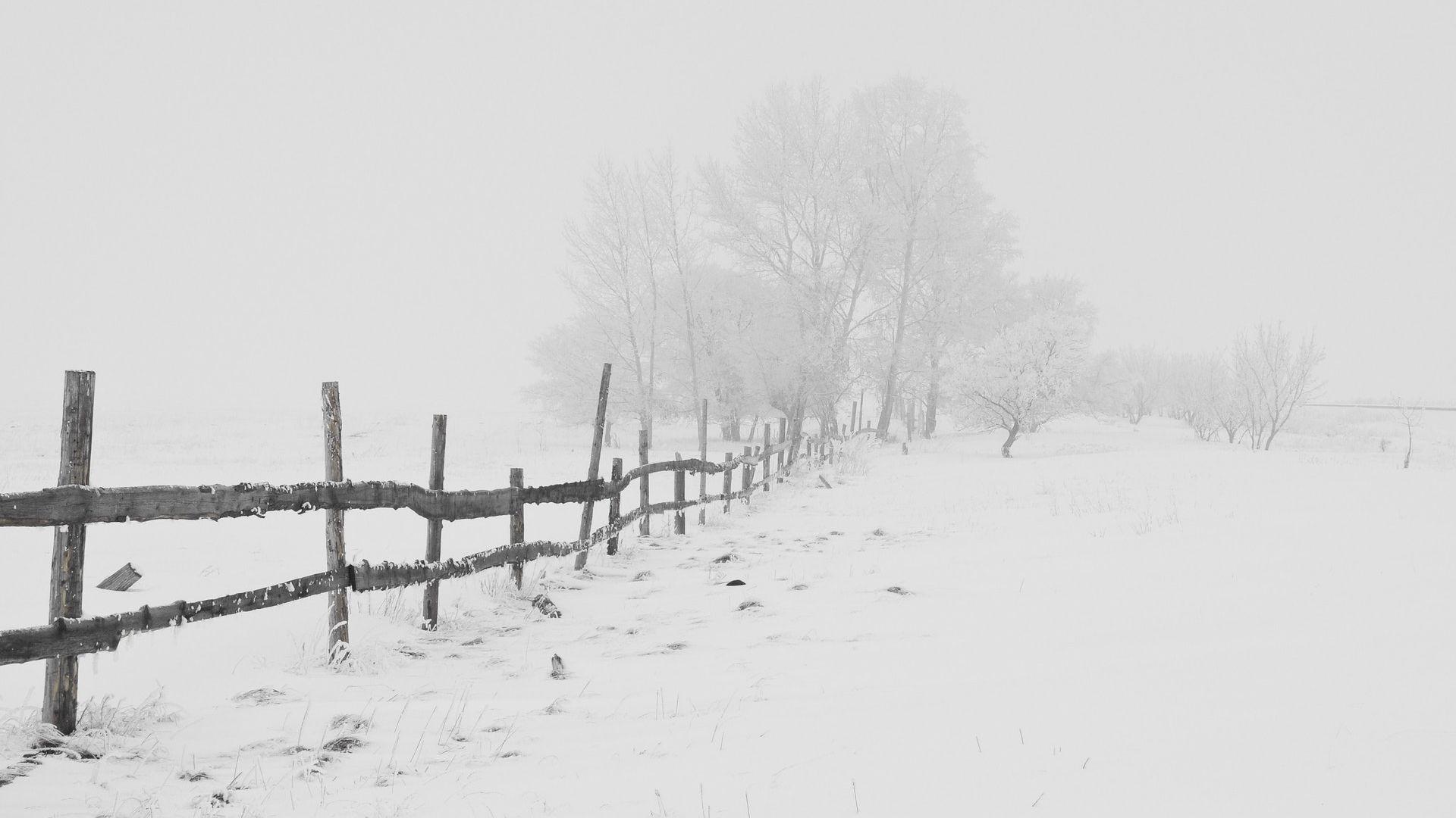 Winter Snow Field Background Wallpaper