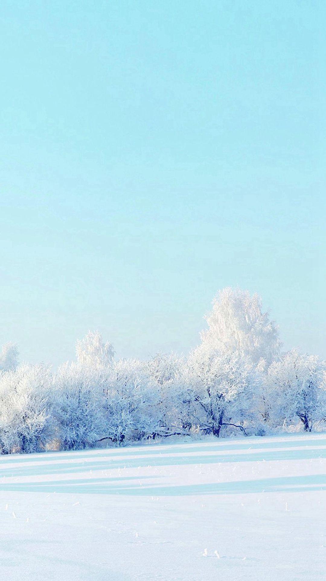 Pure Winter Static Snow Field White World iPhone 8 Wallpaper Free