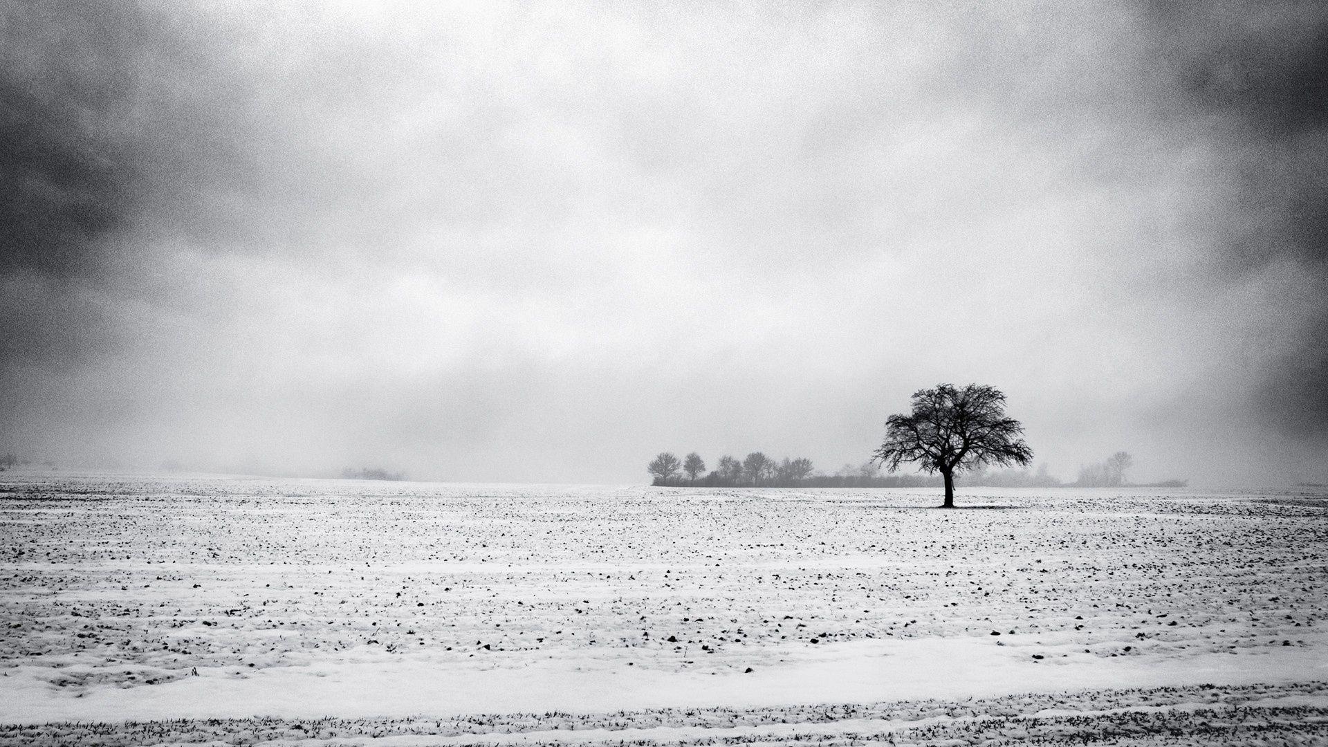 Image result for snowy field. Winter landscape, Winter wallpaper