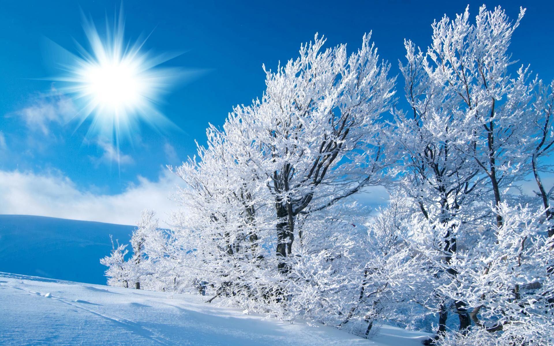 Sunny winter landscape wallpaper and image