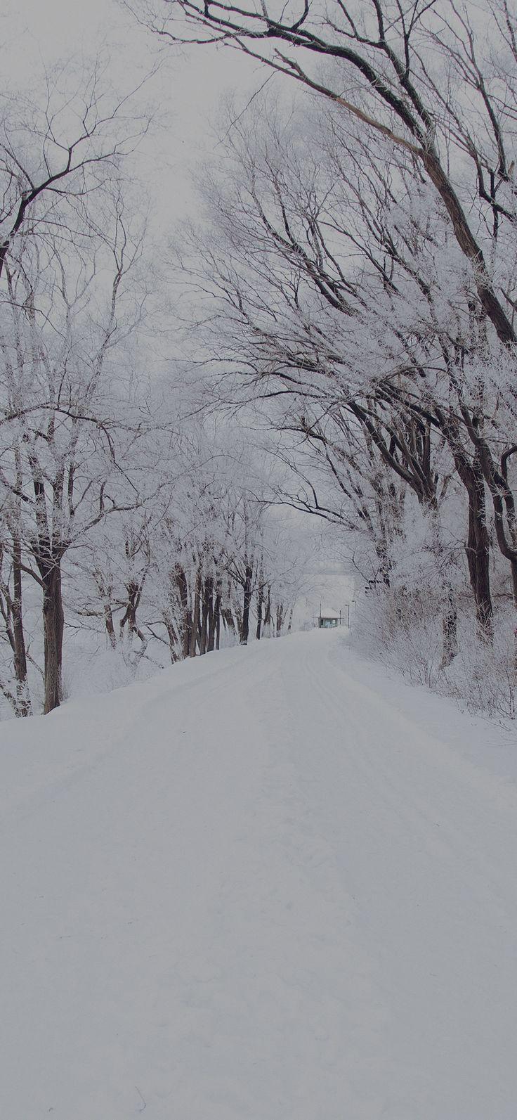 iPhone X wallpaper, winter road romantic nature mountain