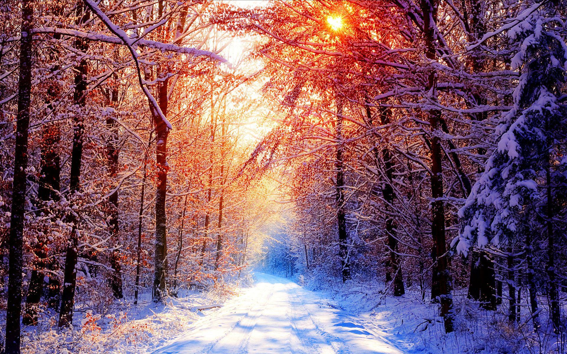 Sunny Winter Scene Wallpaperx1200