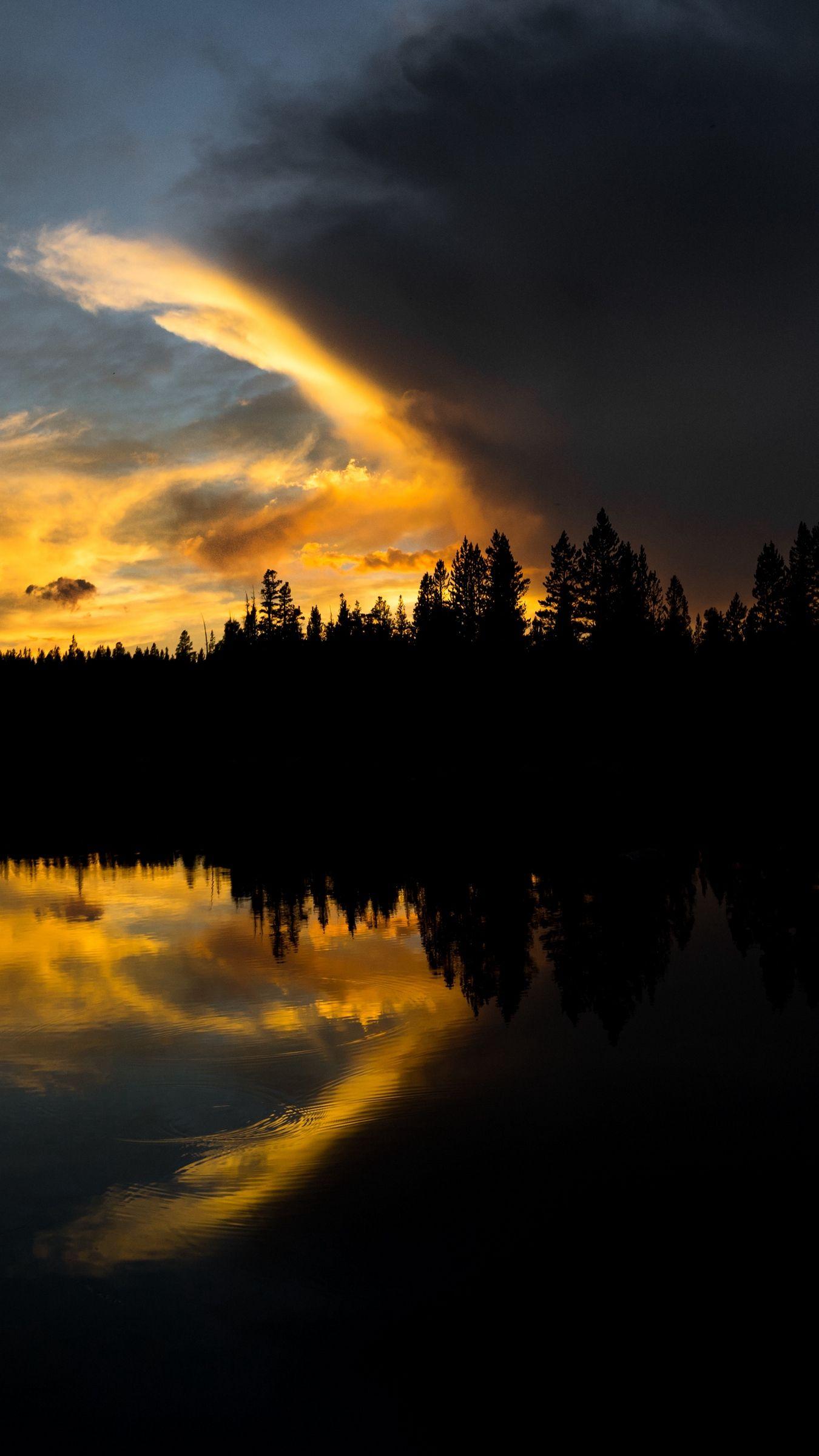 Download wallpaper 1350x2400 trees, night, sunset, river iphone