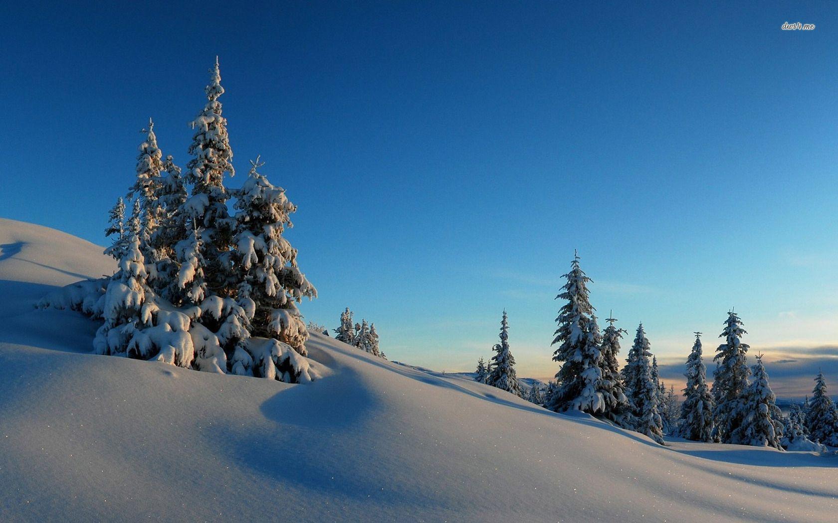 Sunny winter day in the snowy mountains wallpaper