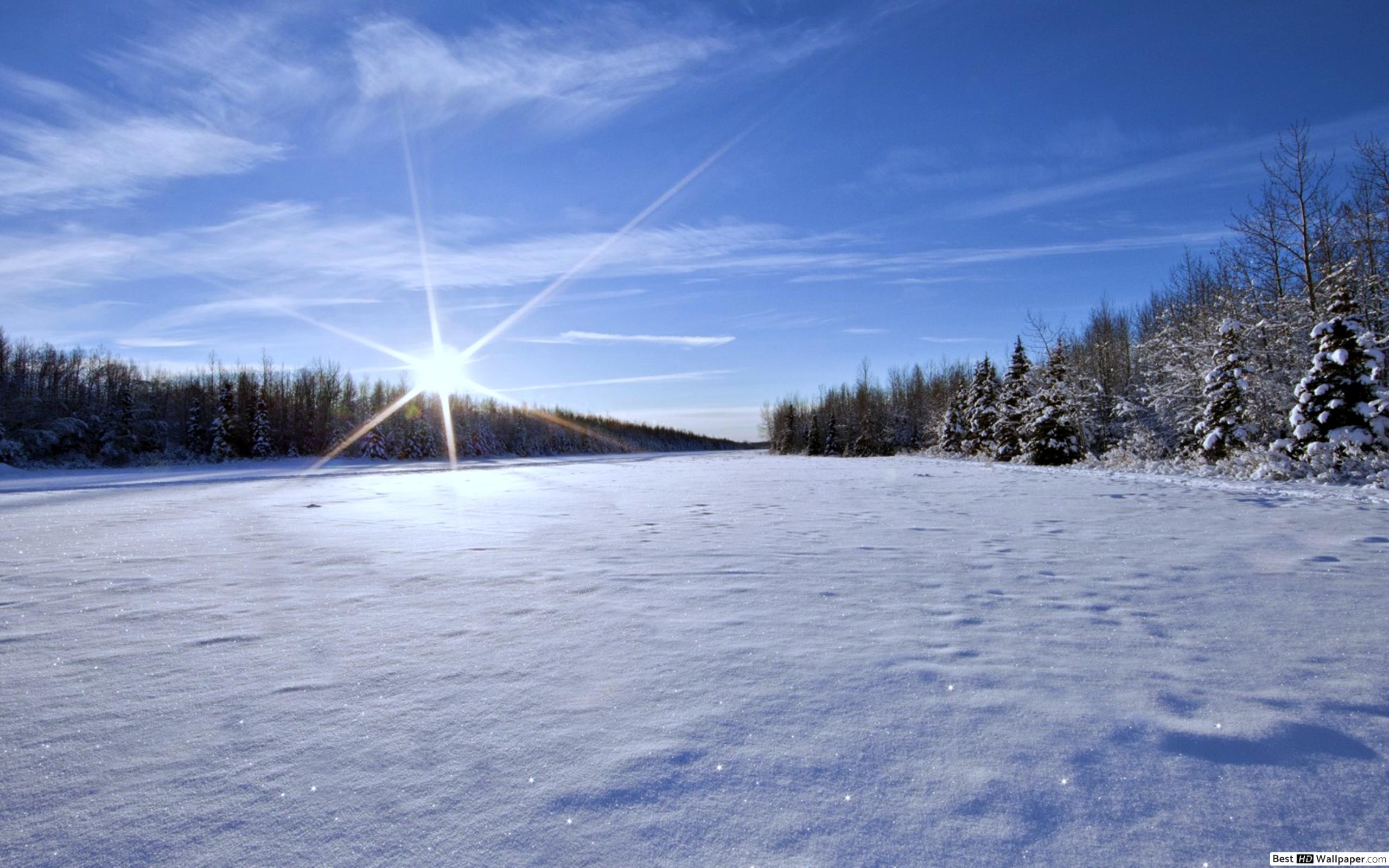 Sunny Winter HD wallpaper download