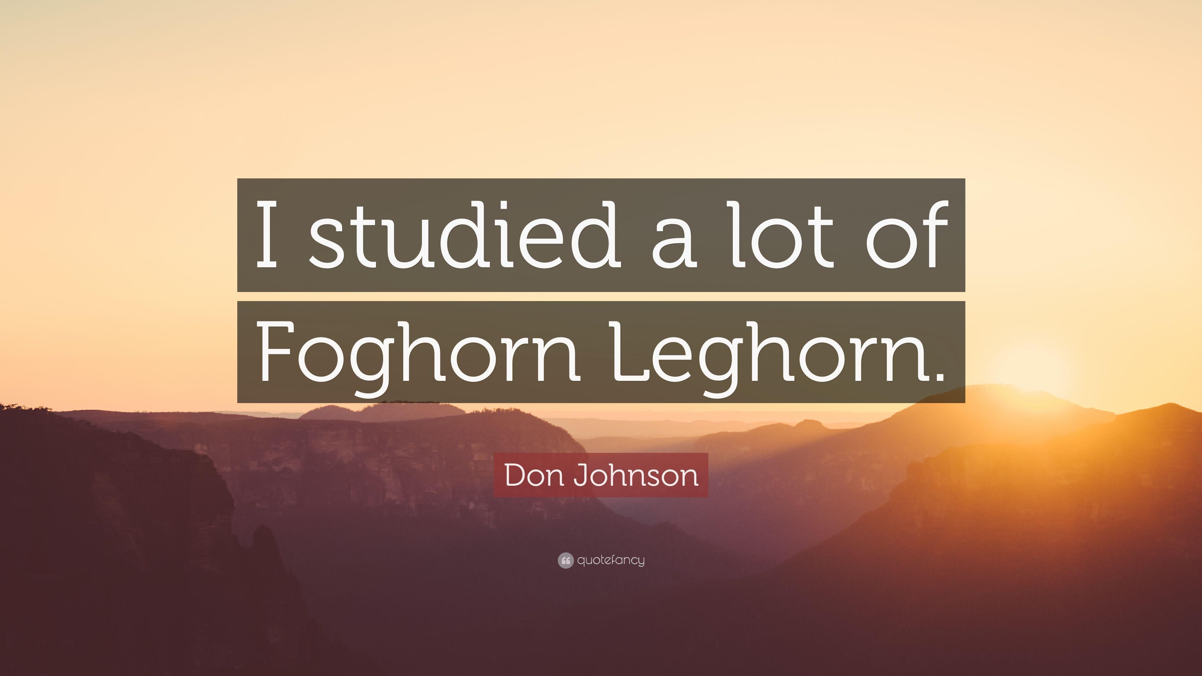 Don Johnson Quote: "I studied a lot of Foghorn Leghorn. 