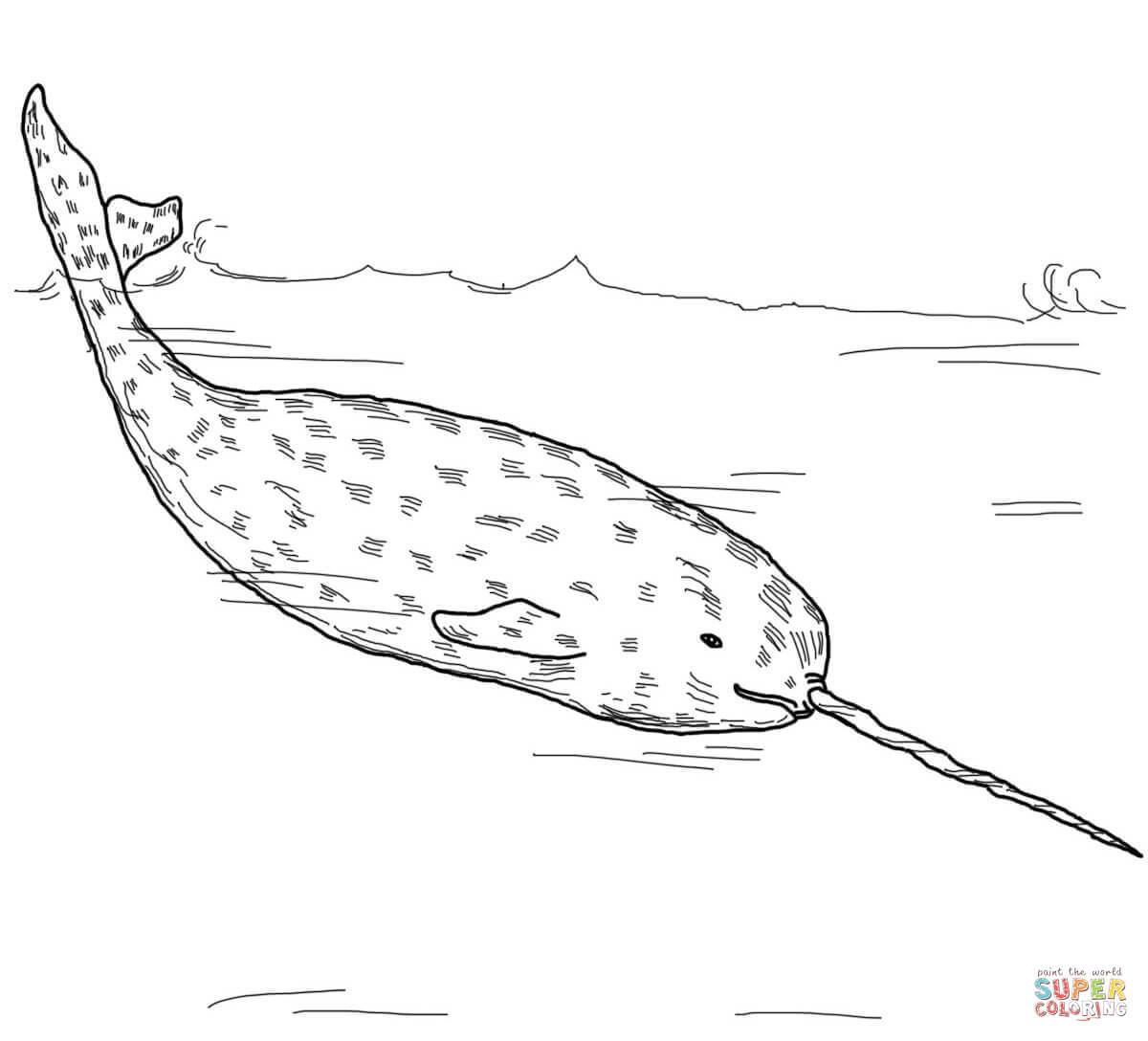 Free Fat Narwhal Clipart, Download Free Clip Art, Free Clip Art