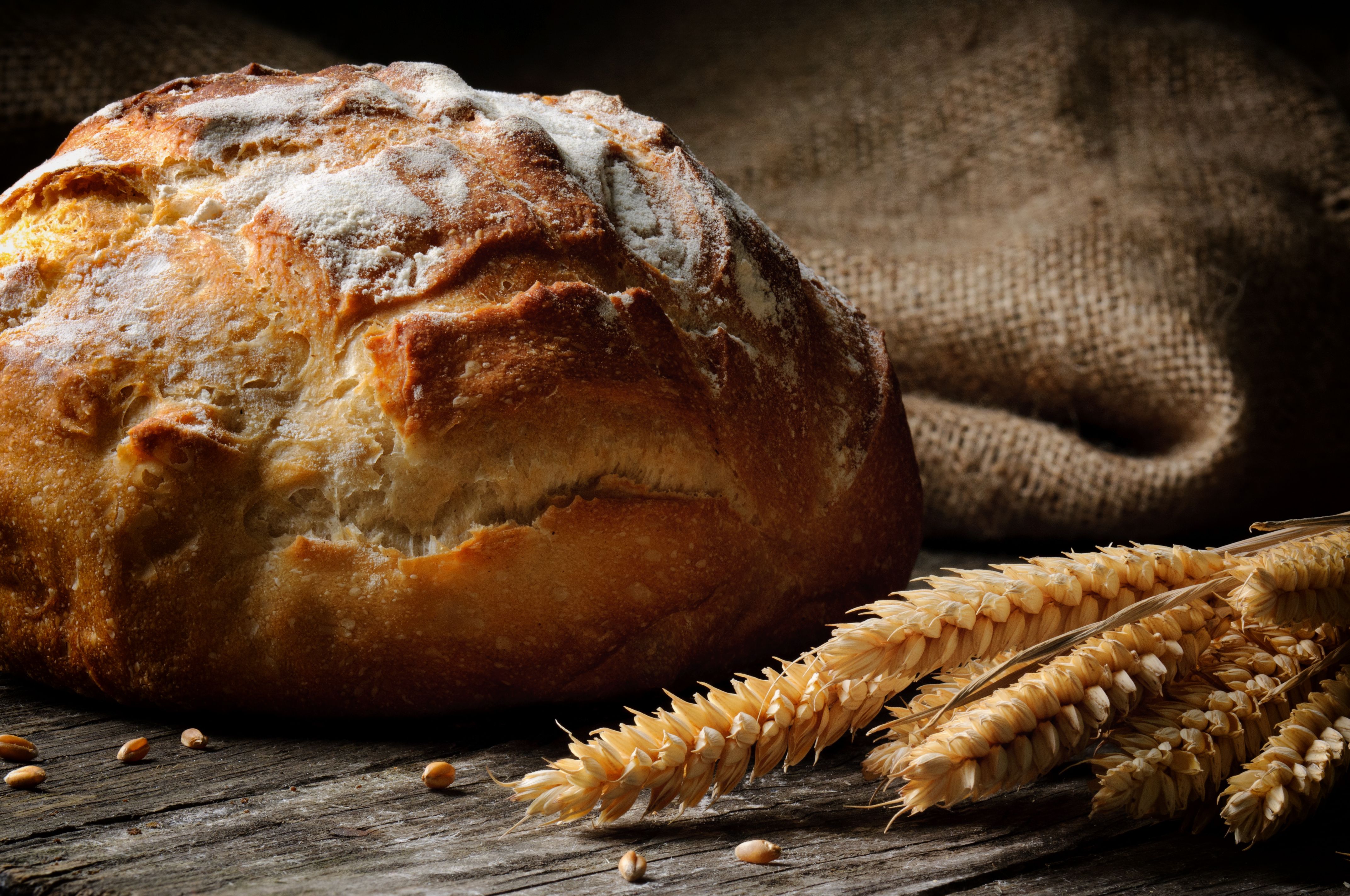 image Wheat Bread Ear botany Food Pastry 4288x2848