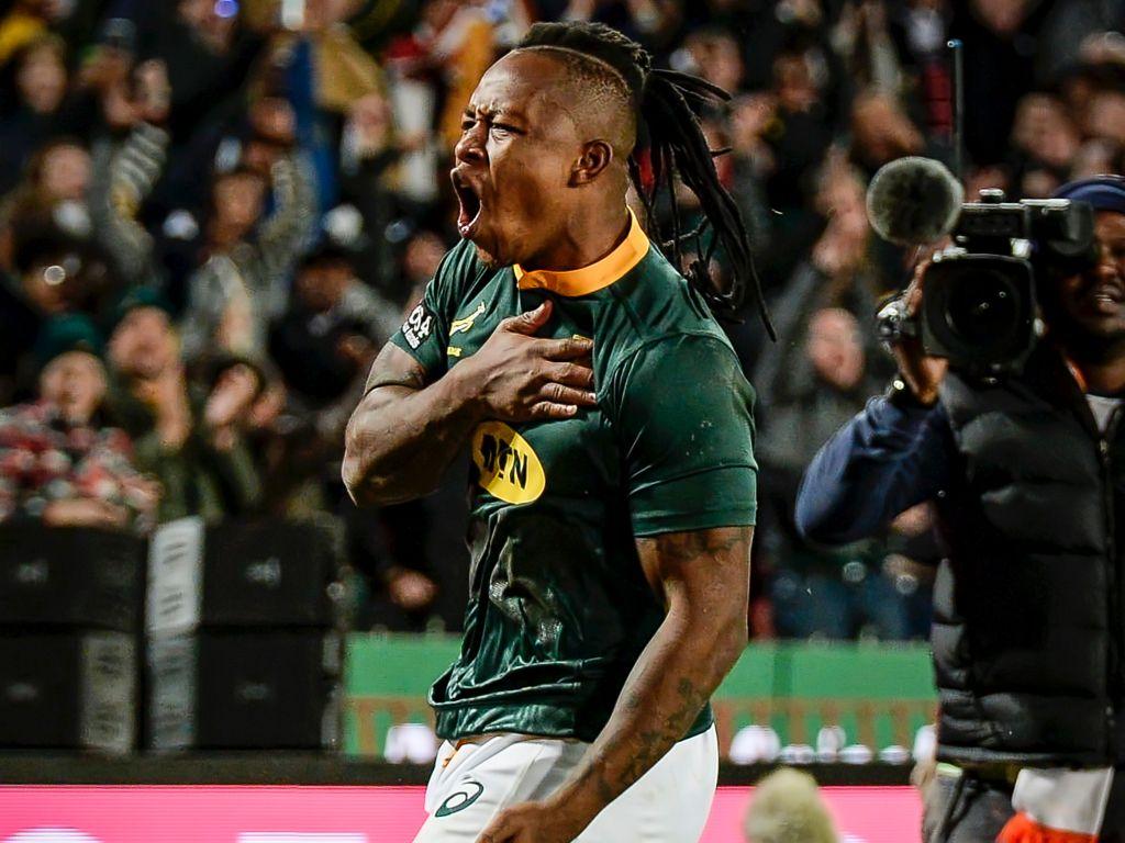 springboks trikot 2019