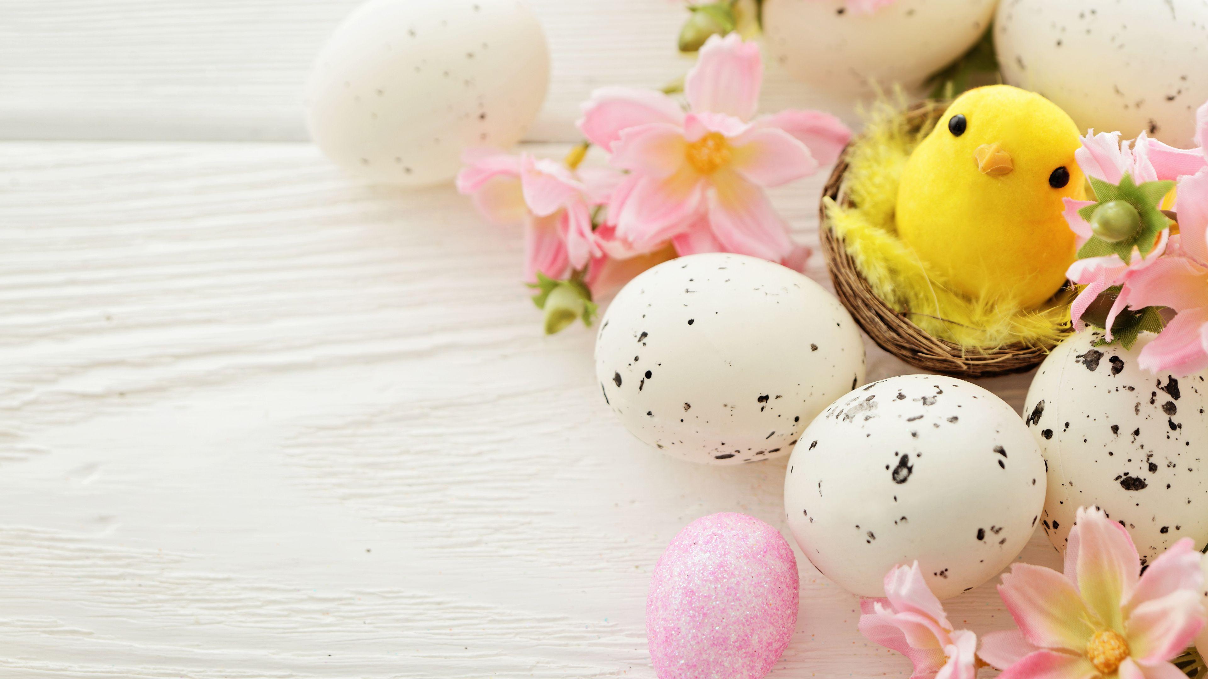 Wallpaper Easter Chicks Eggs Nest Holidays Boards 3840x2160