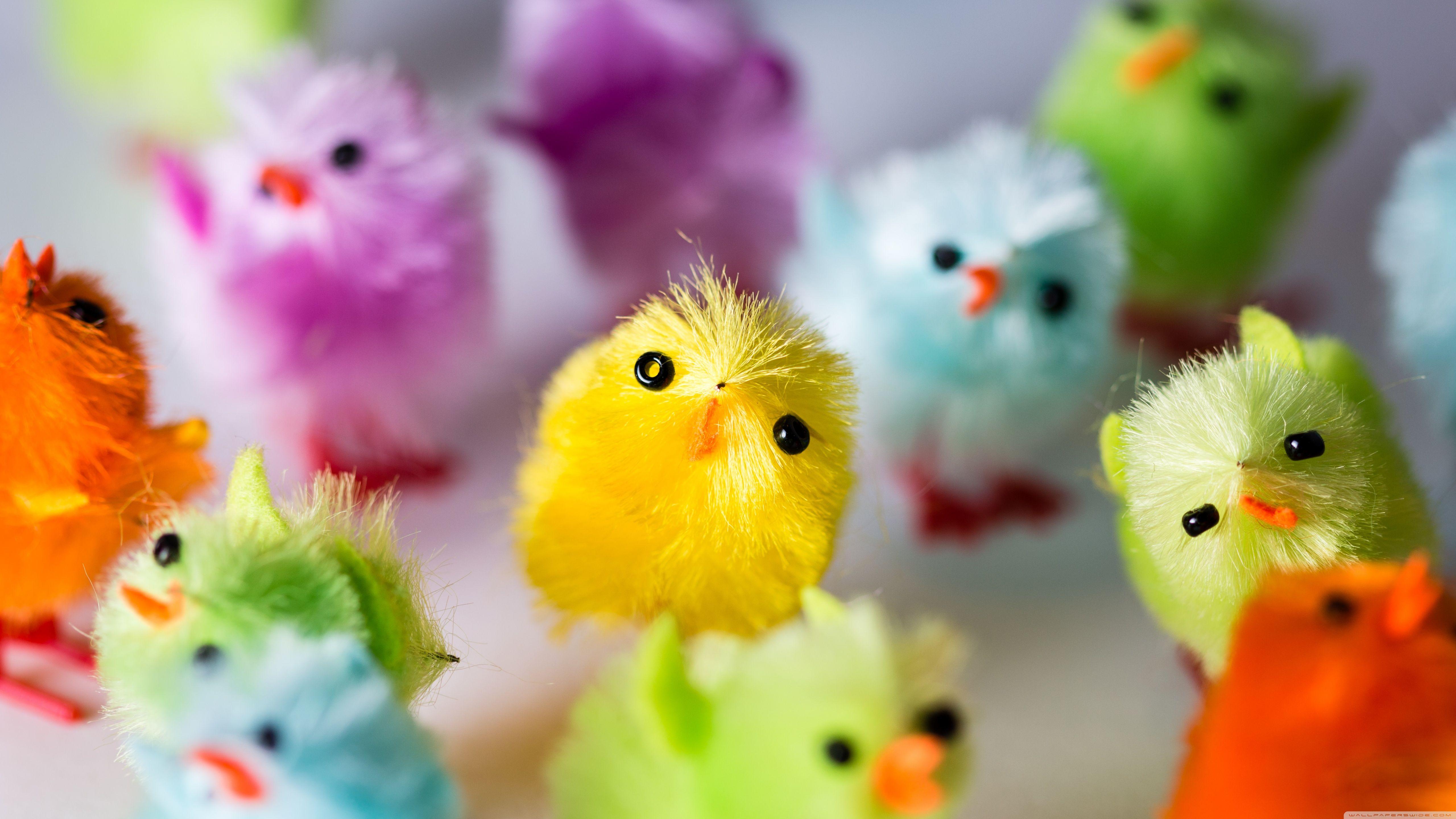 Multi Colored Easter Chicks Ultra HD Desktop Background Wallpaper