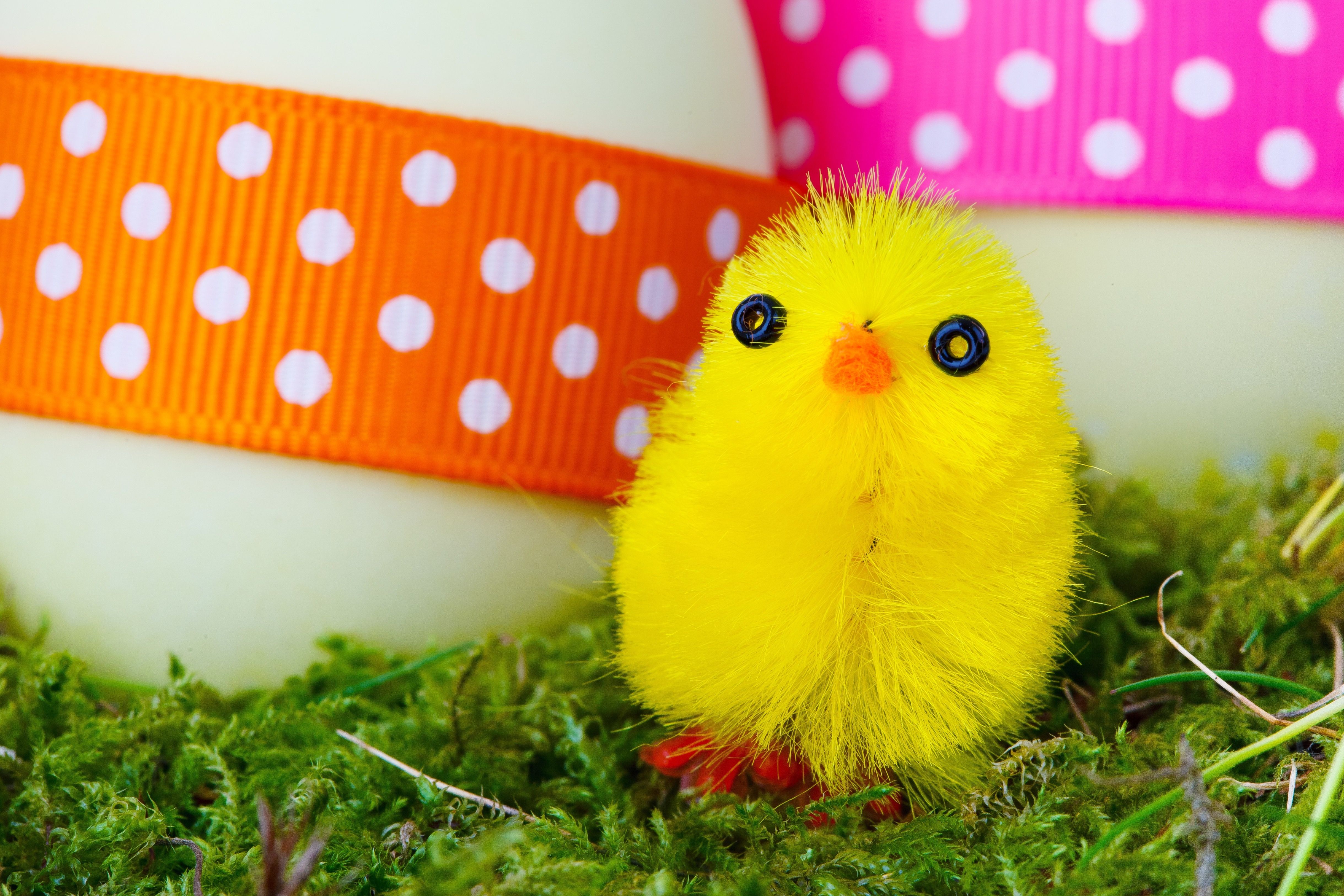 Yellow Easter Chick Wallpaper & Background Download