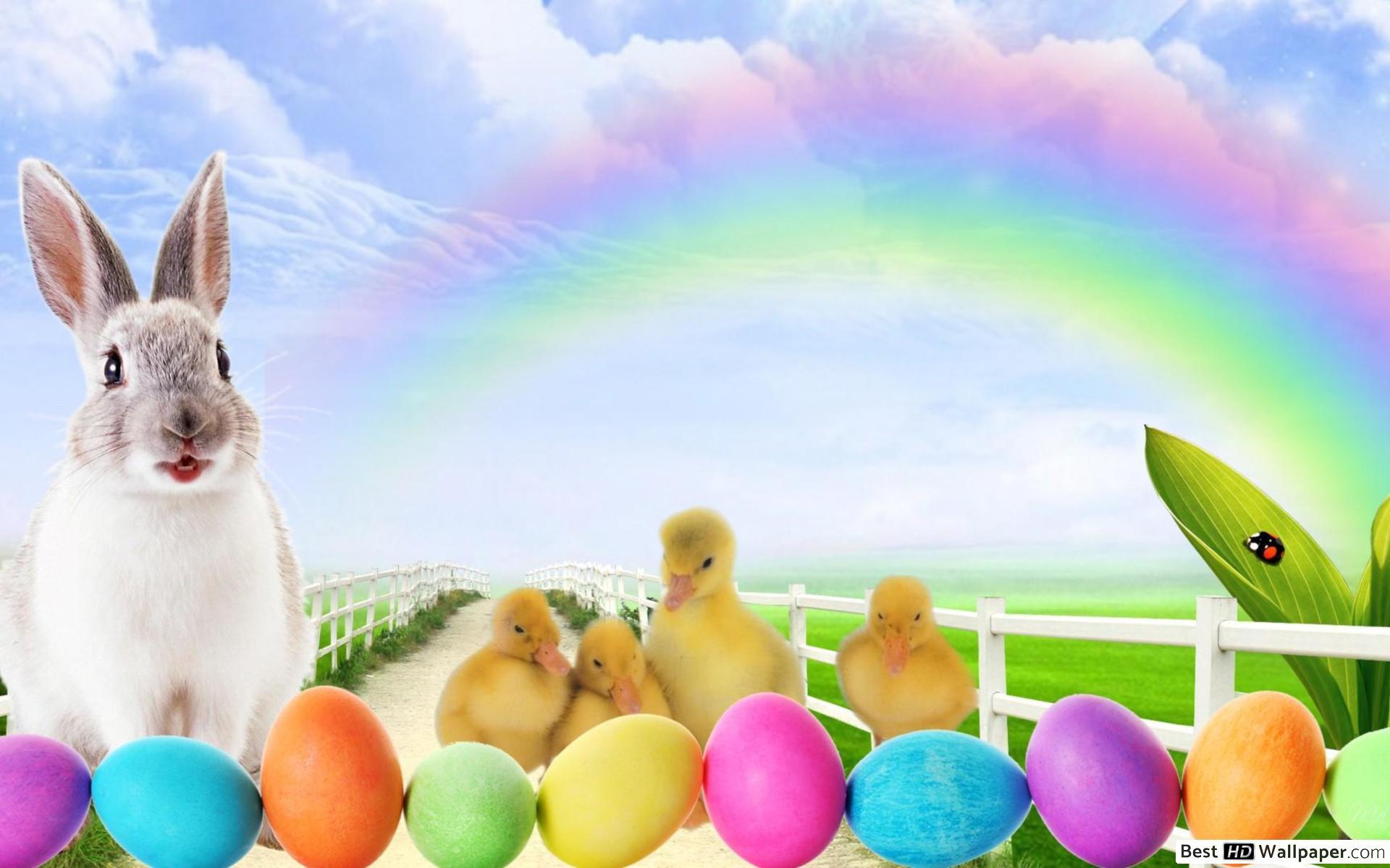 Easter Bunny & Chick HD wallpaper download