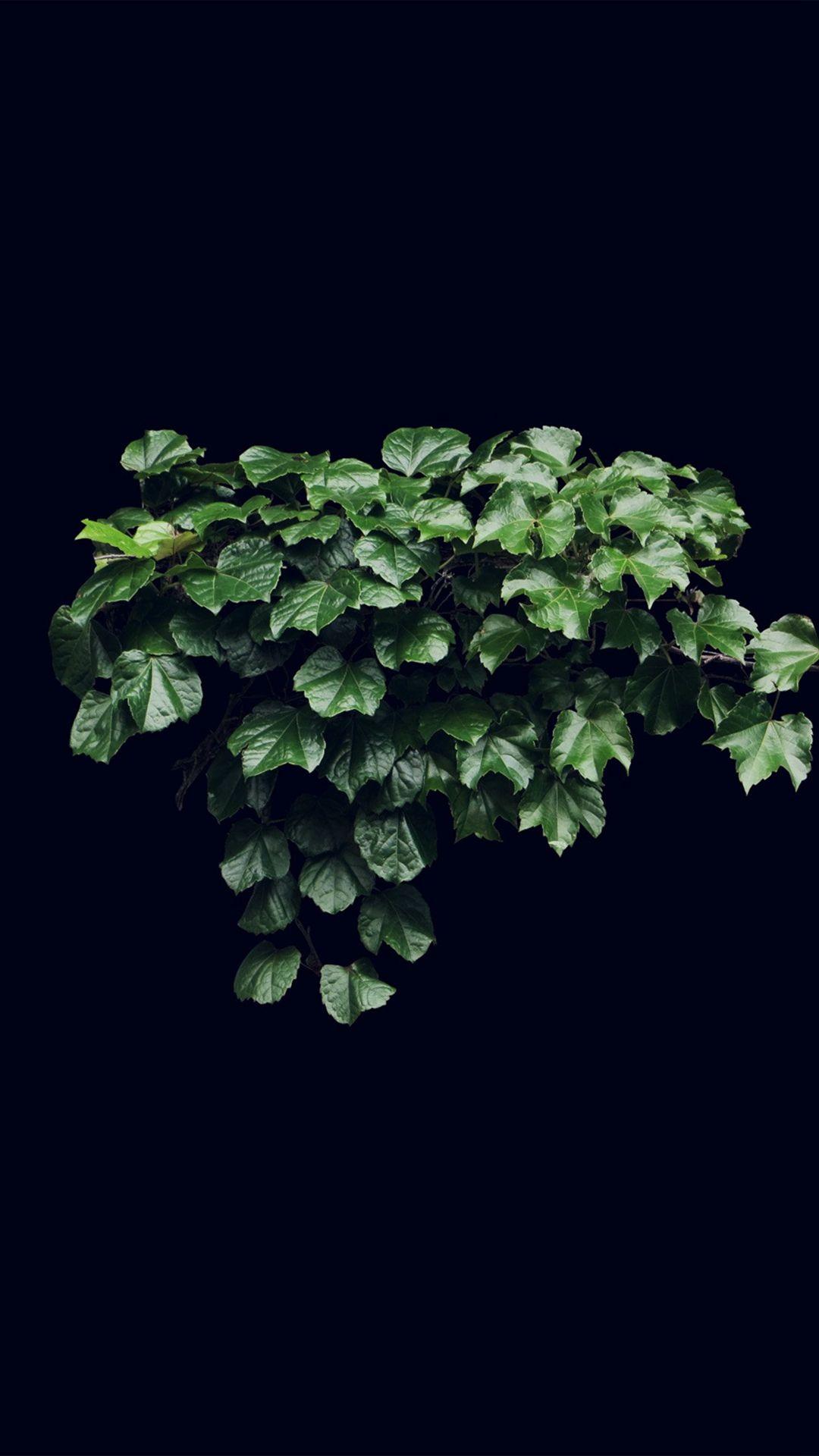 Truevine Dark Nature Green Flower Leaf iPhone 8 Wallpaper Free