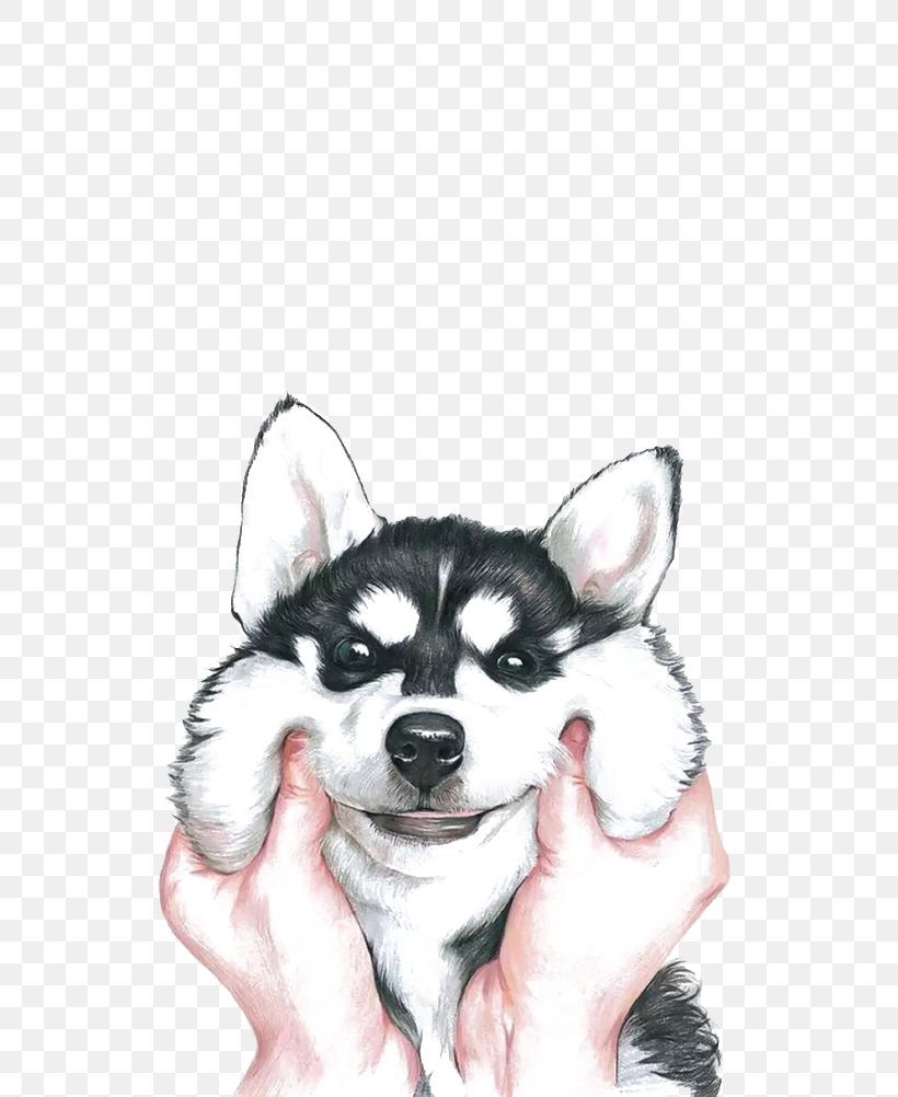 Siberian Husky IPhone X Wallpaper, PNG, 564x1002px, Siberian Husky