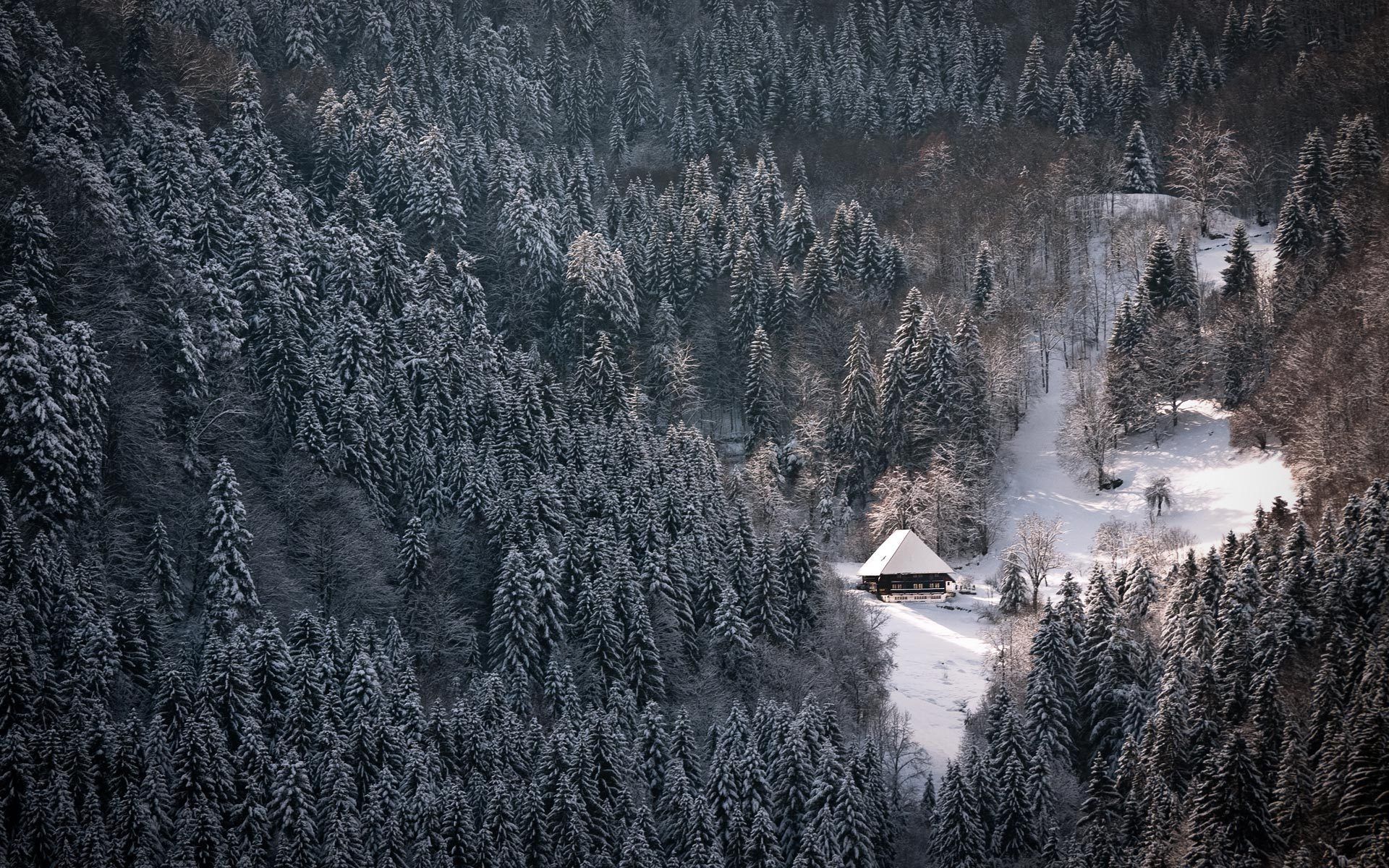 HD Wallpaper. Black forest germany, Black forest, Germany in winter