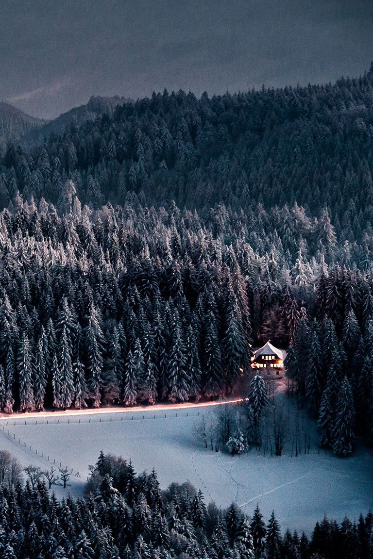 [ Inné Terra ]. Black forest germany, Snow forest