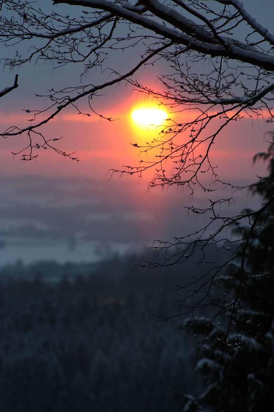 HD Wallpaper: Germany, Hohenstein Ernstthal, Winter, Sonne, Sunset