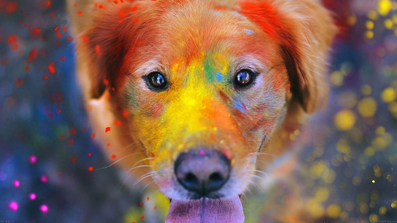 Dog Smile Fall Leaves Art Nature. Dog Wallpaper, Giant Dogs